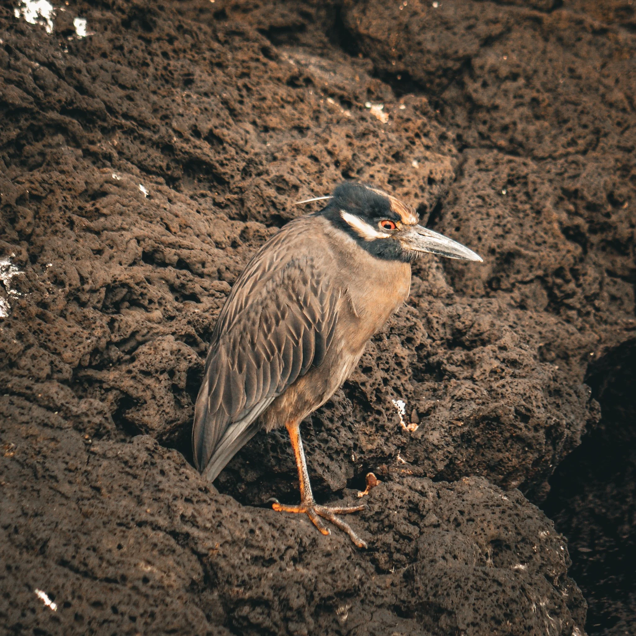 DSC_0836.jpg
