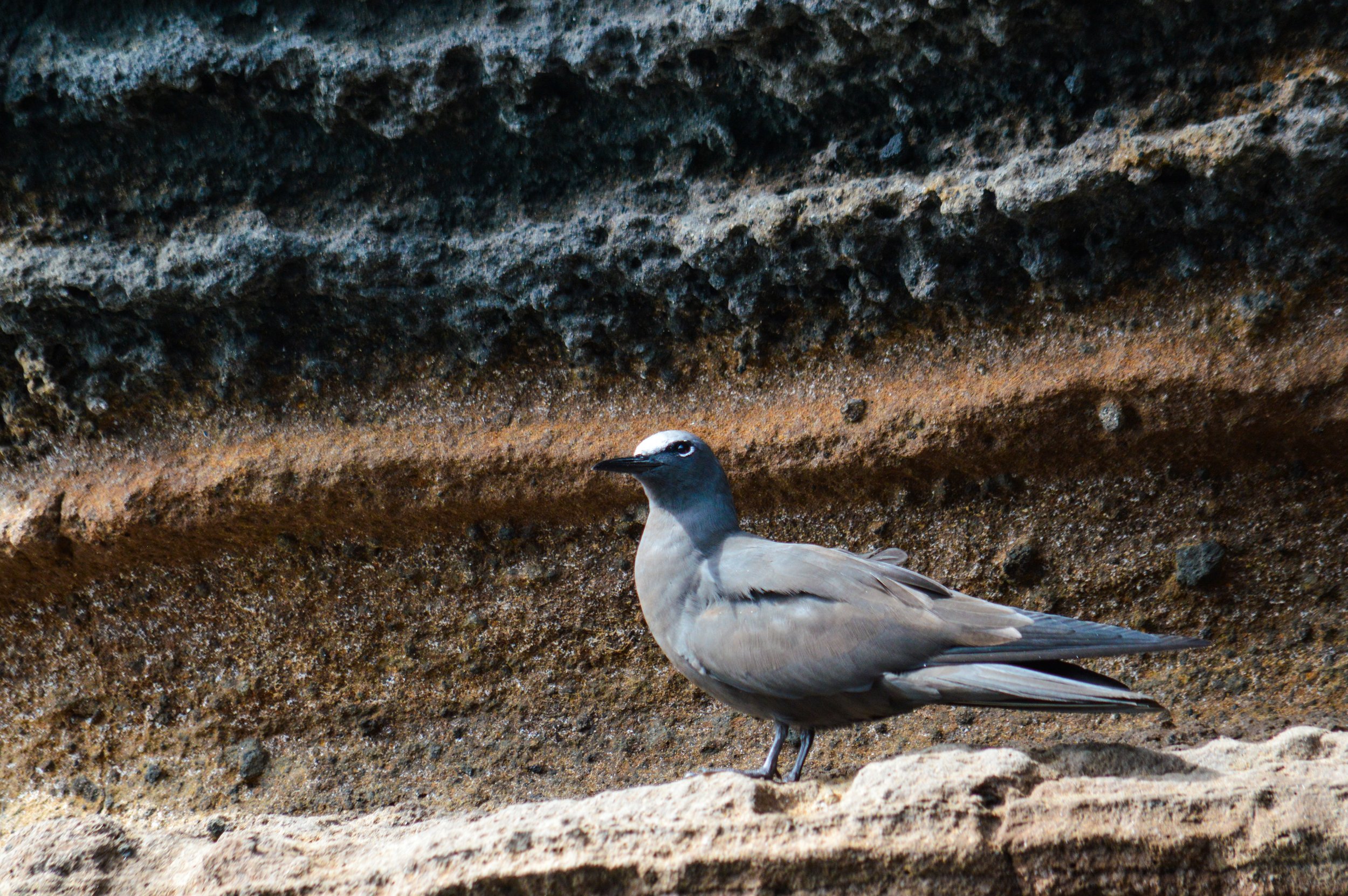 DSC_0857.jpg