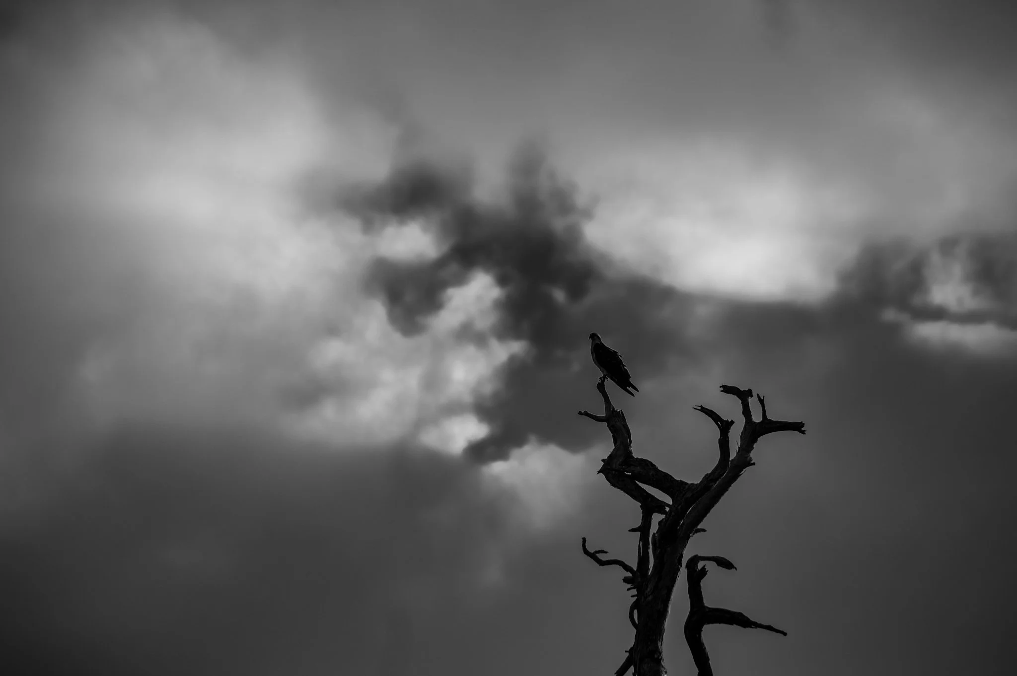 DSC_0431.jpg