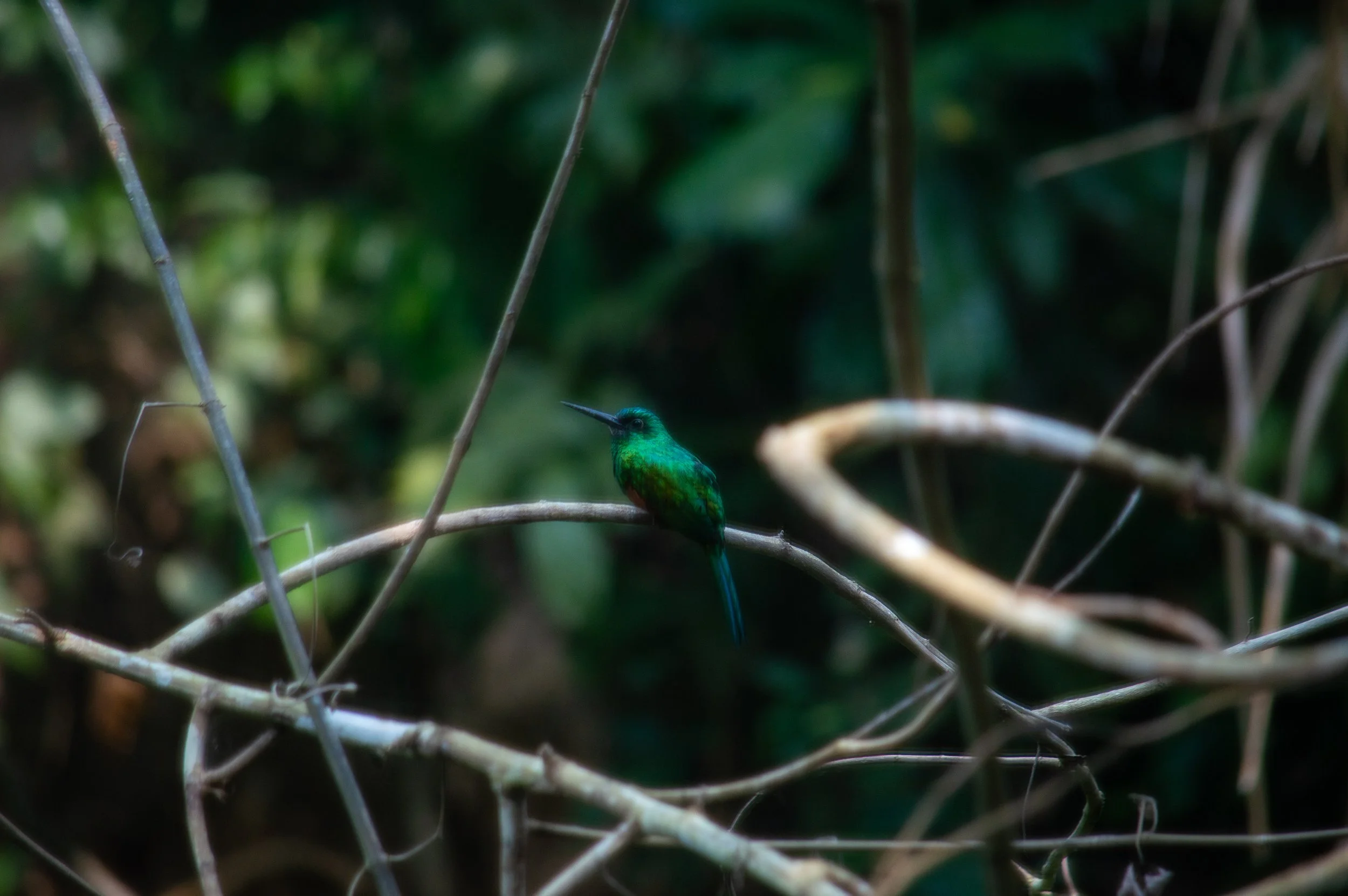DSC_0448.jpg