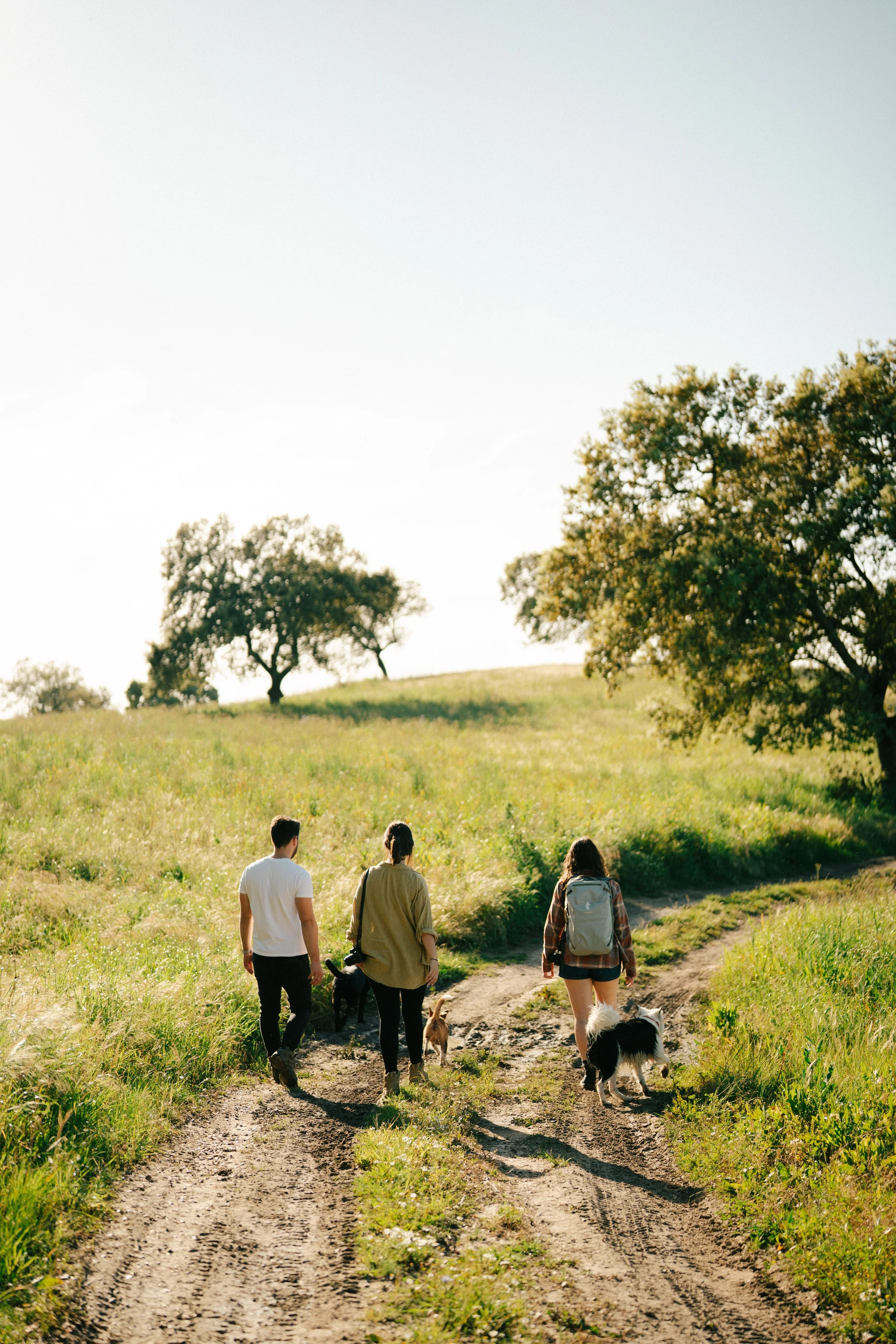 TOPOtents-41 copy.jpg