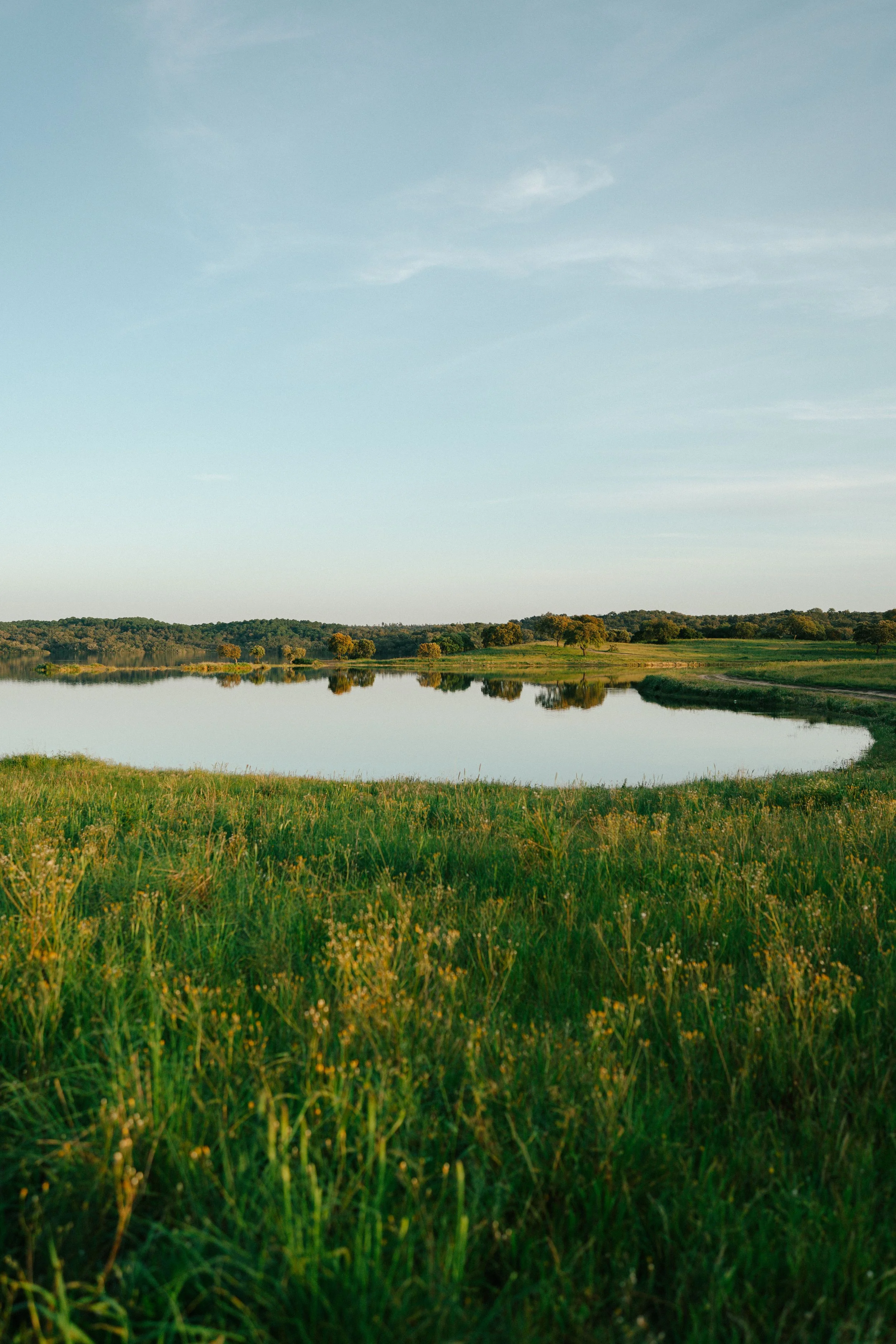 TOPOtents-72 copy.jpg