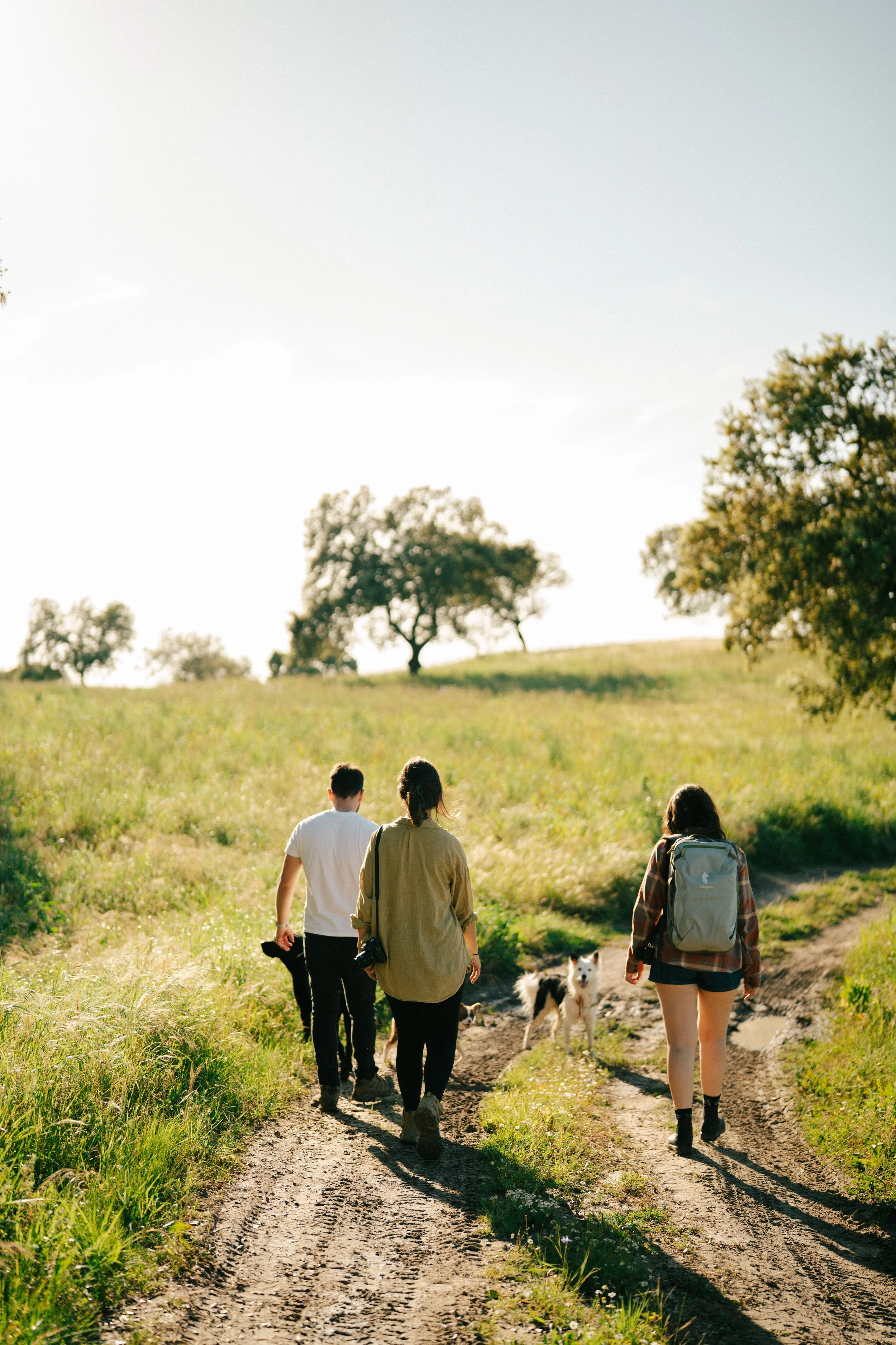 TOPOtents-40 copy.jpg