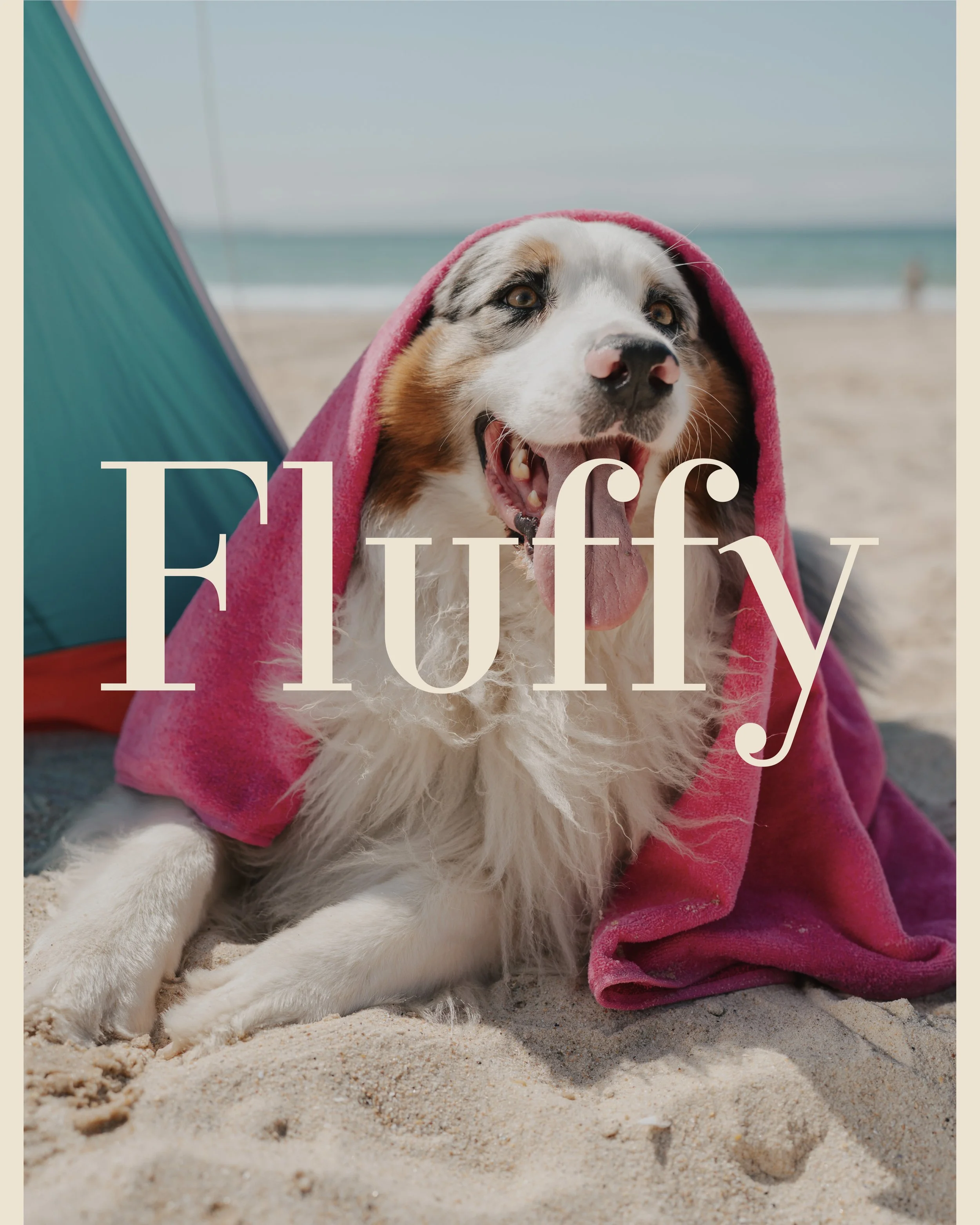 covers7-19.jpg