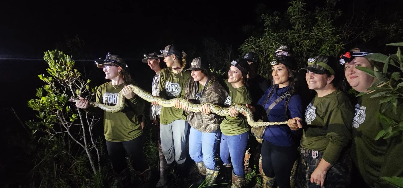 Everglades Python Hunt: What a Guided Outing Involves
