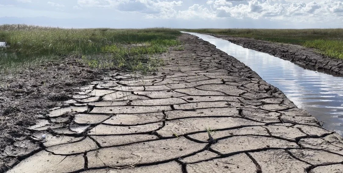 Everglades Drought 2026: Captain Greg Shows CBS Miami the Conditions