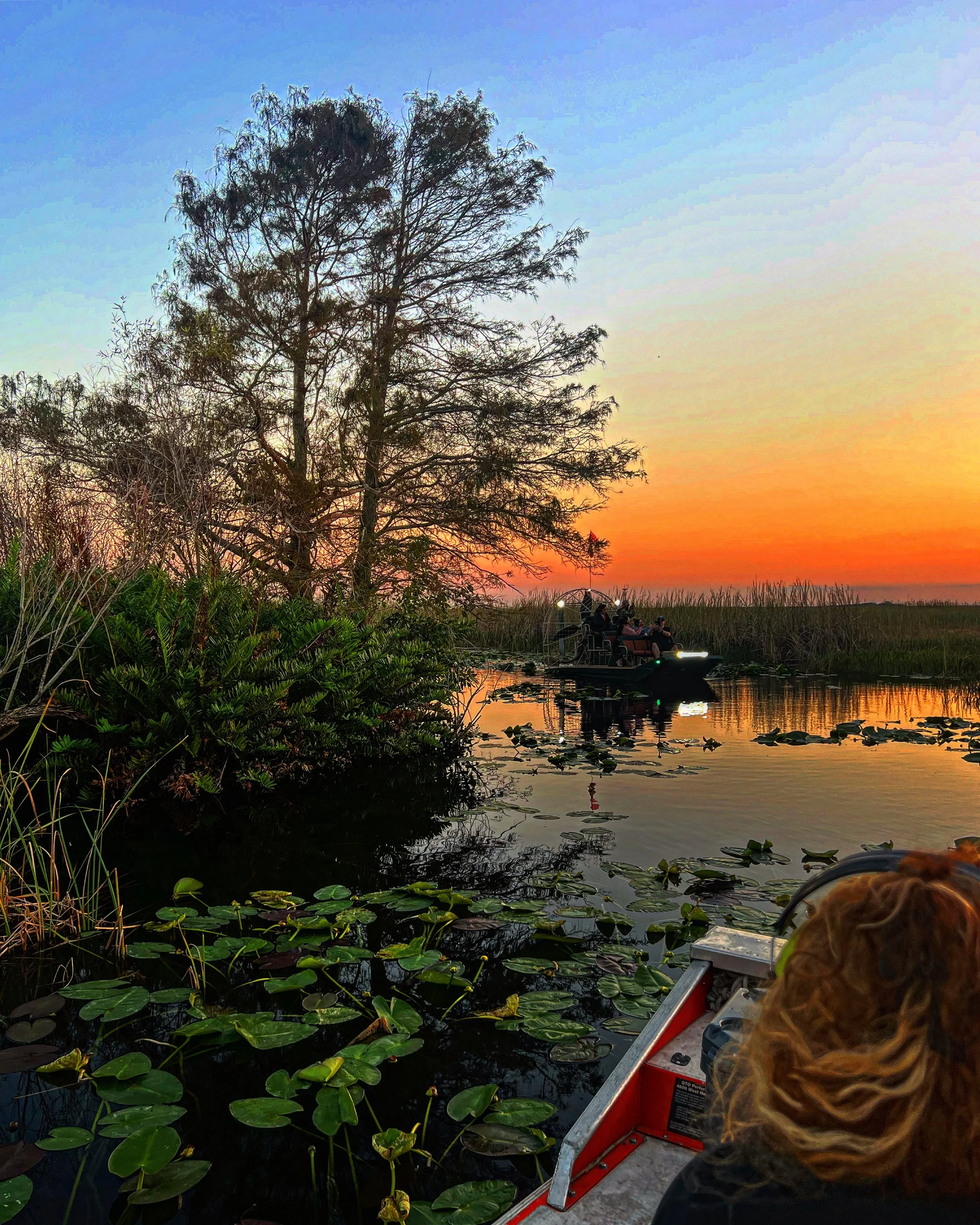 Guests aboard an airboat on an Everglades waterway at sunset