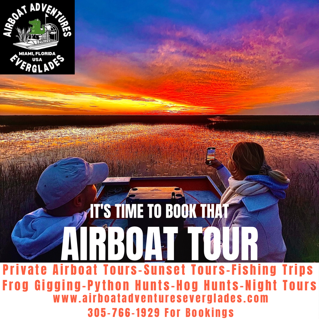 Guests photographing sunset from an airboat in the Everglades marsh