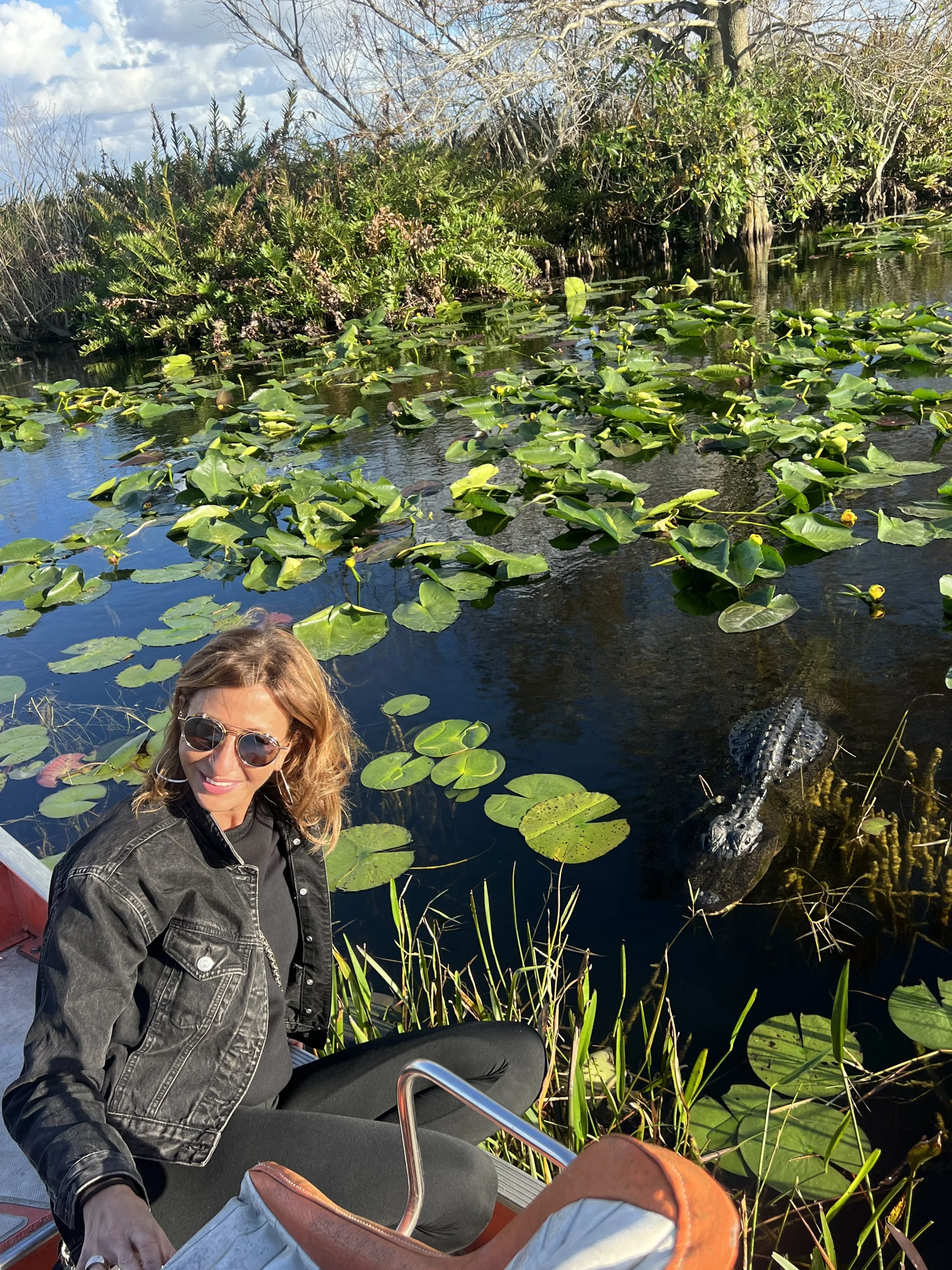Airboat guest watching an alligator in the Everglades
