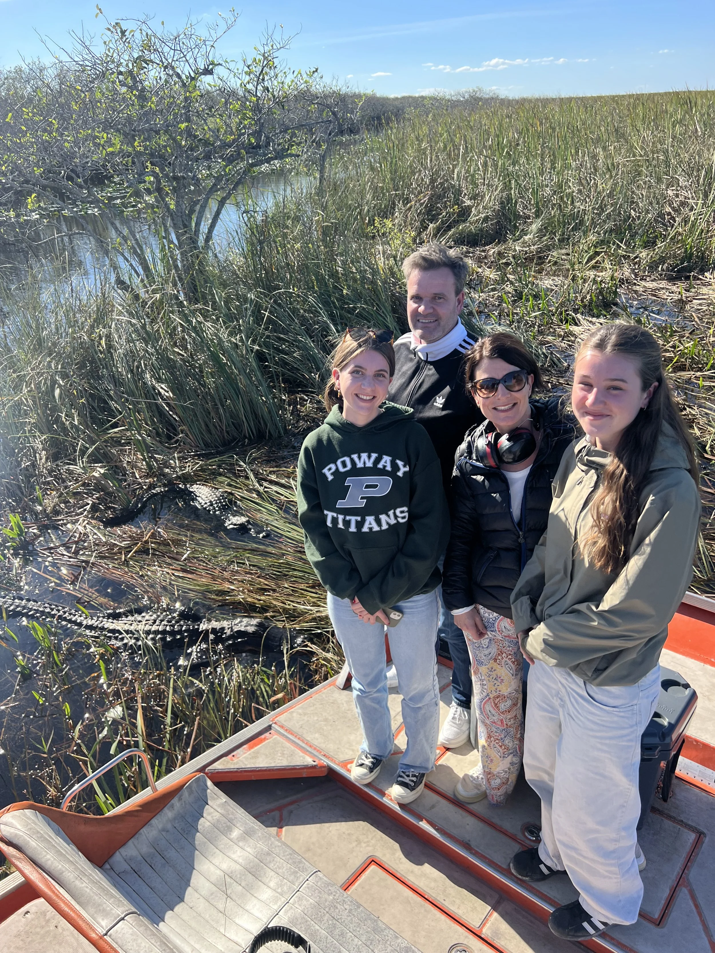 Guests watching an American alligator from an Everglades airboat