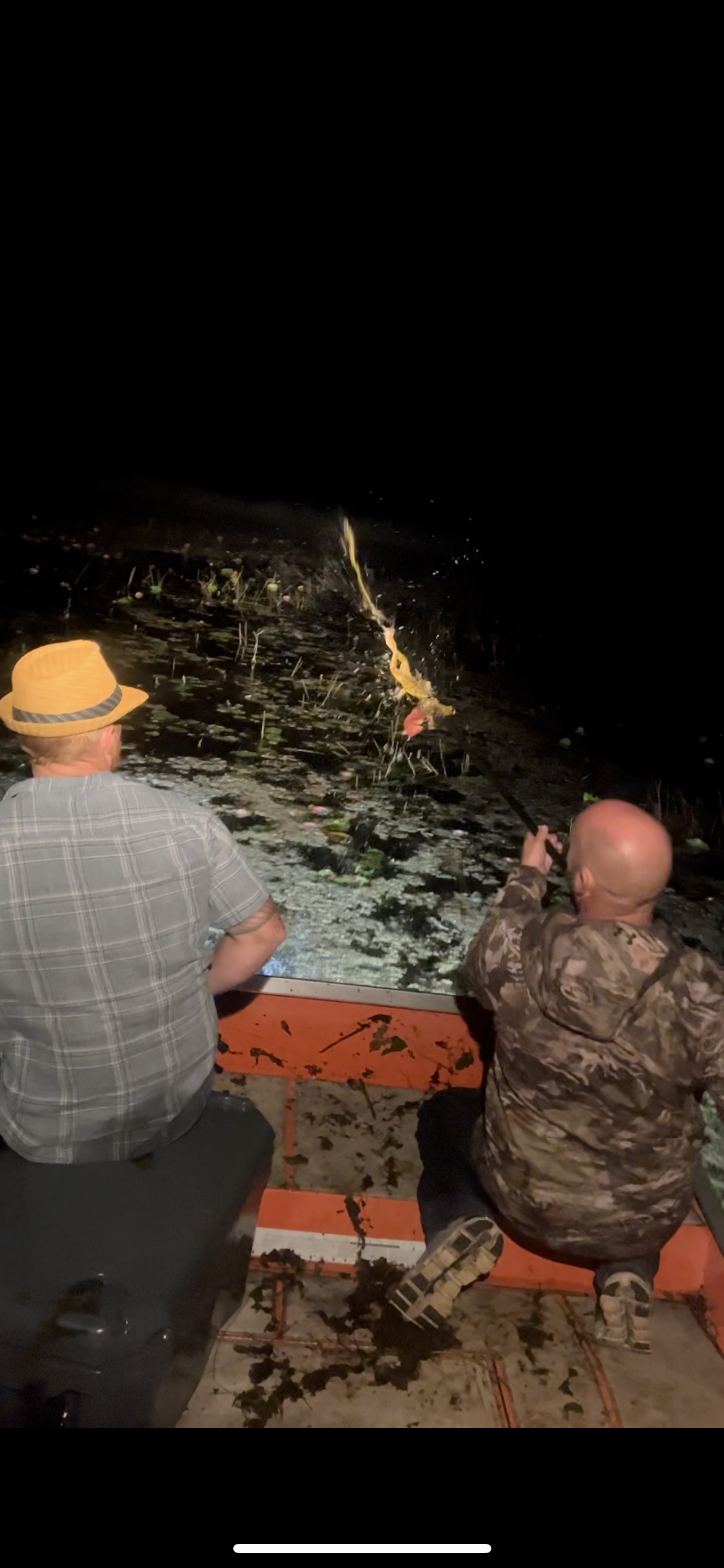 Guests frog gigging from an airboat at night in the Everglades