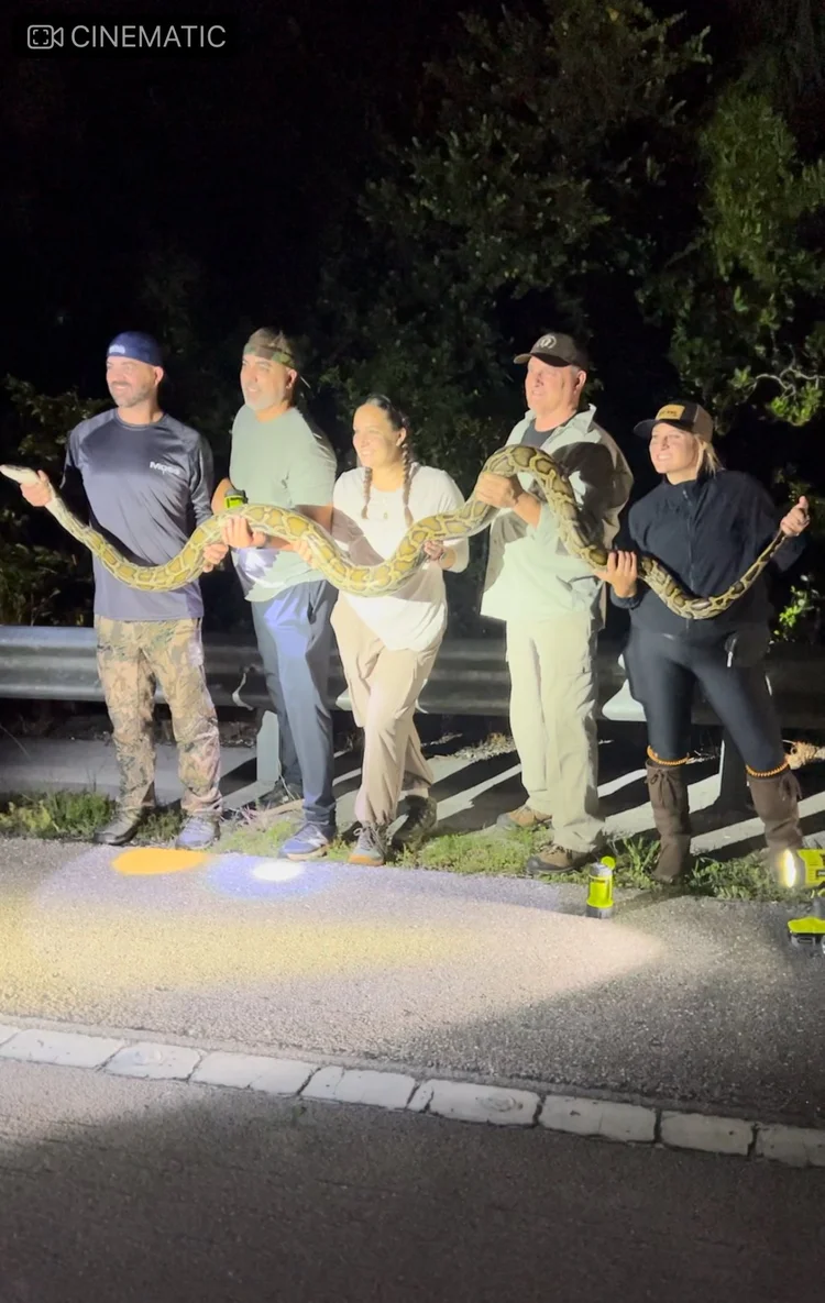 Guests holding a Burmese python during a guided Everglades hunt