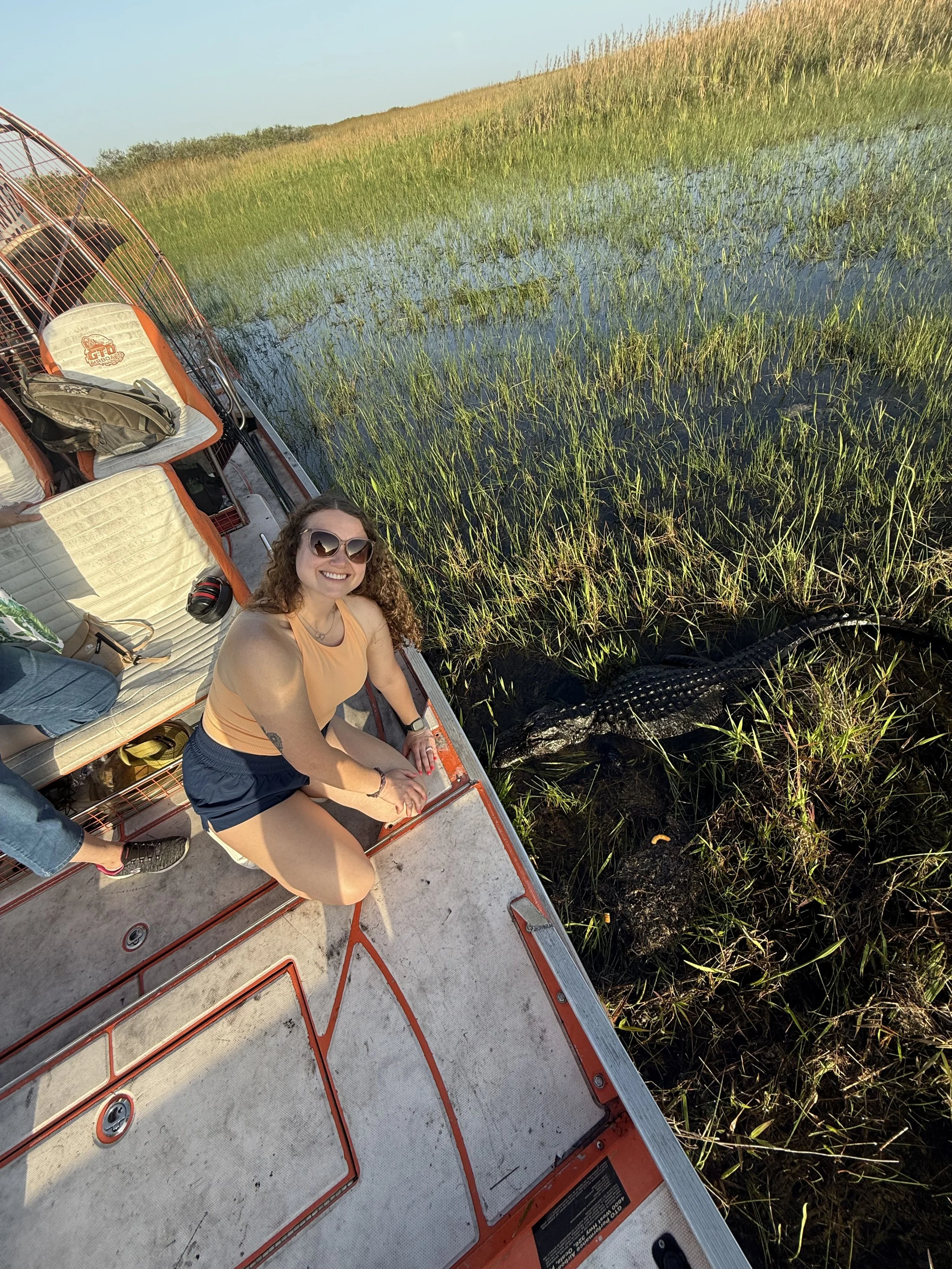 Woman aboard an airboat watching an alligator in the Everglades water