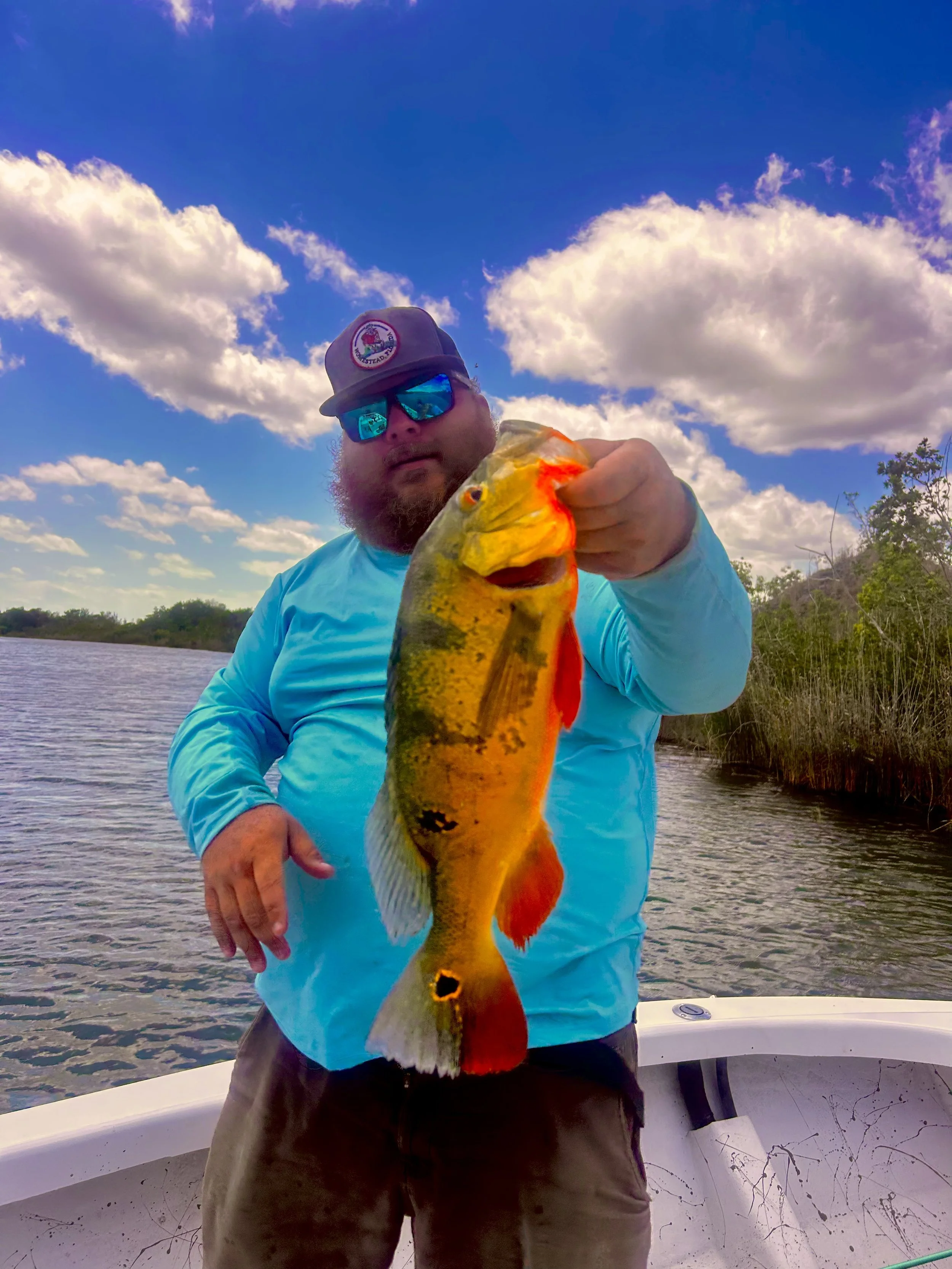 Angler holding a peacock bass caught in the Everglades