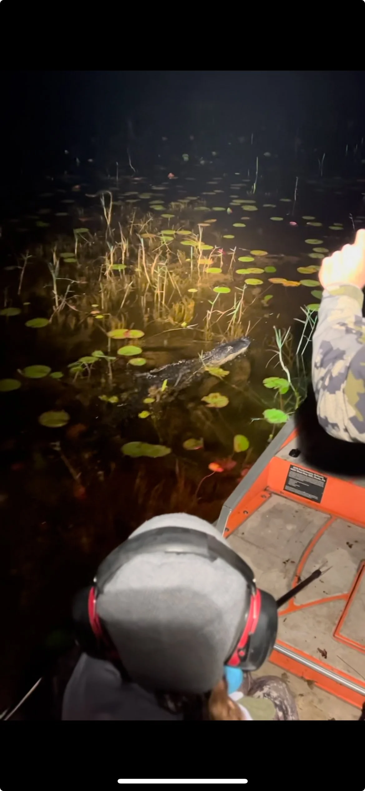 Lily pads and the edge of an airboat during an Everglades night outing