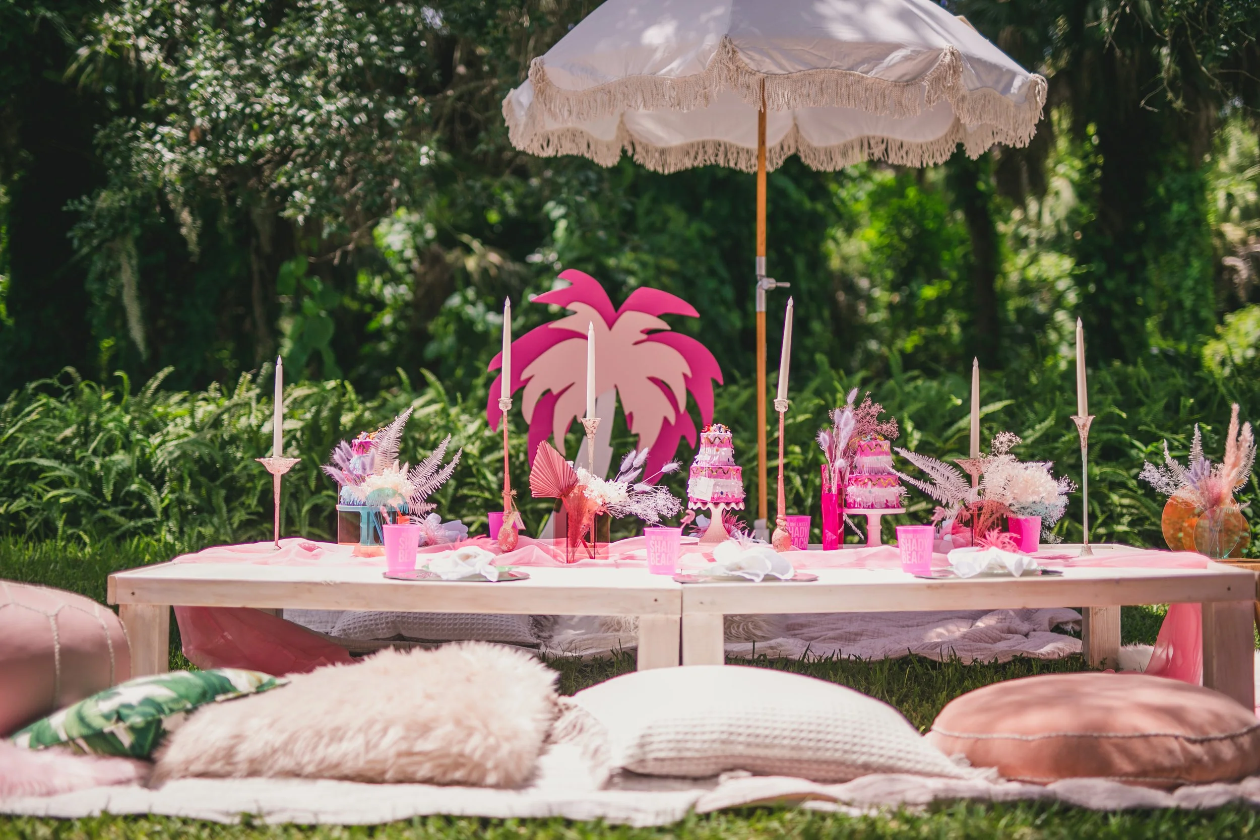 luxury picnic party in Sarasota