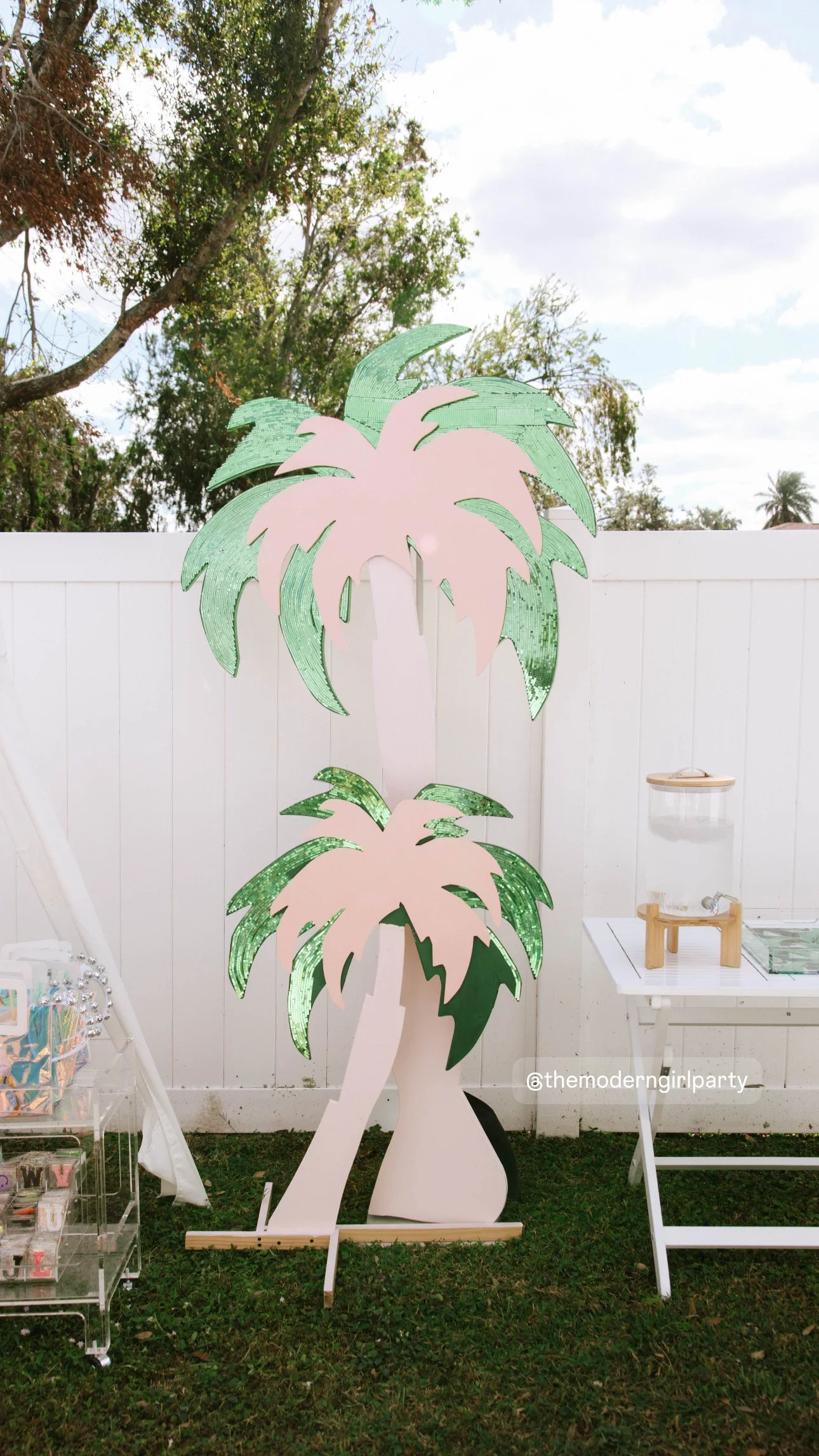 Disco palm trees sarasota