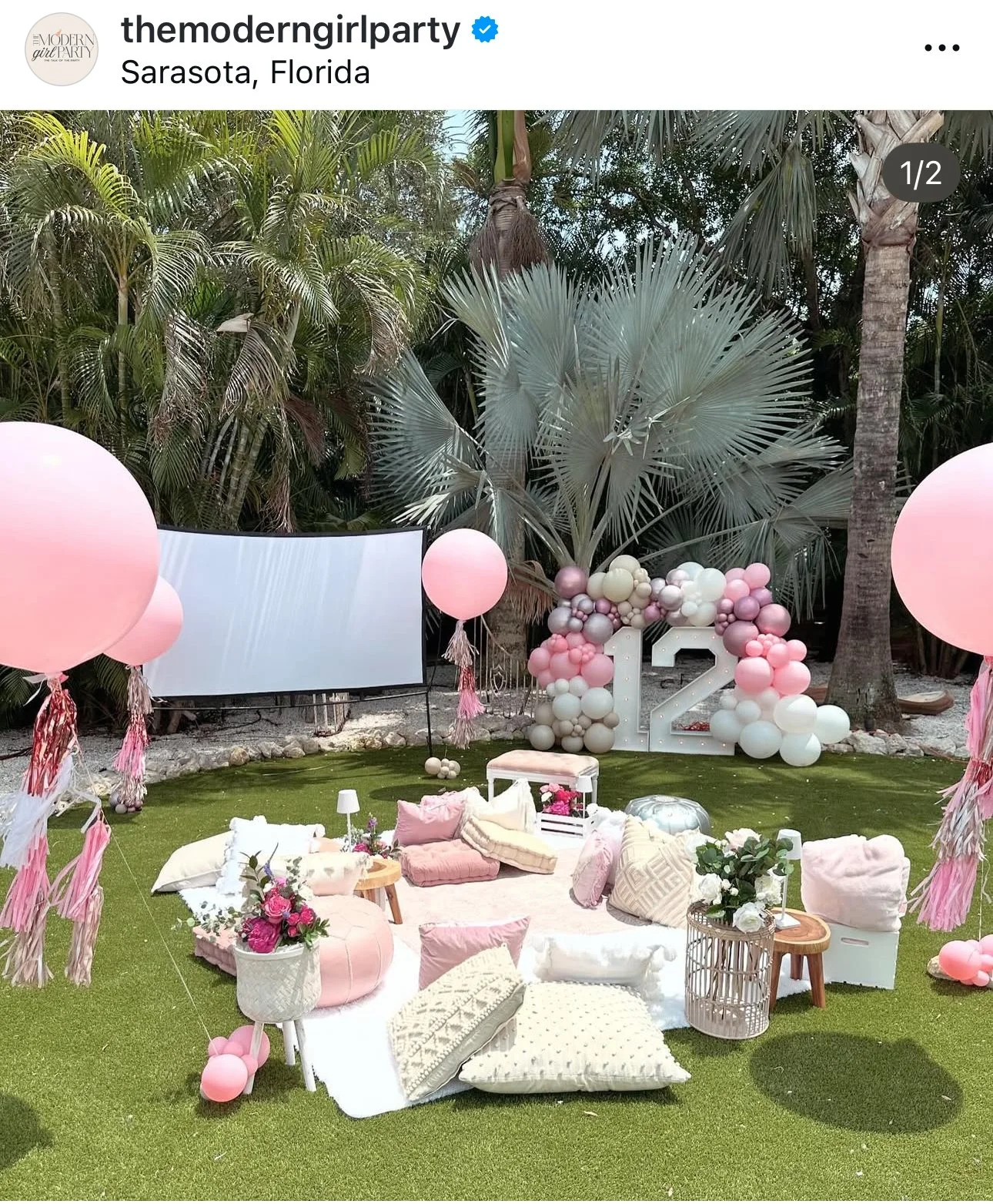 luxury picnic birthday party with outdoor movie