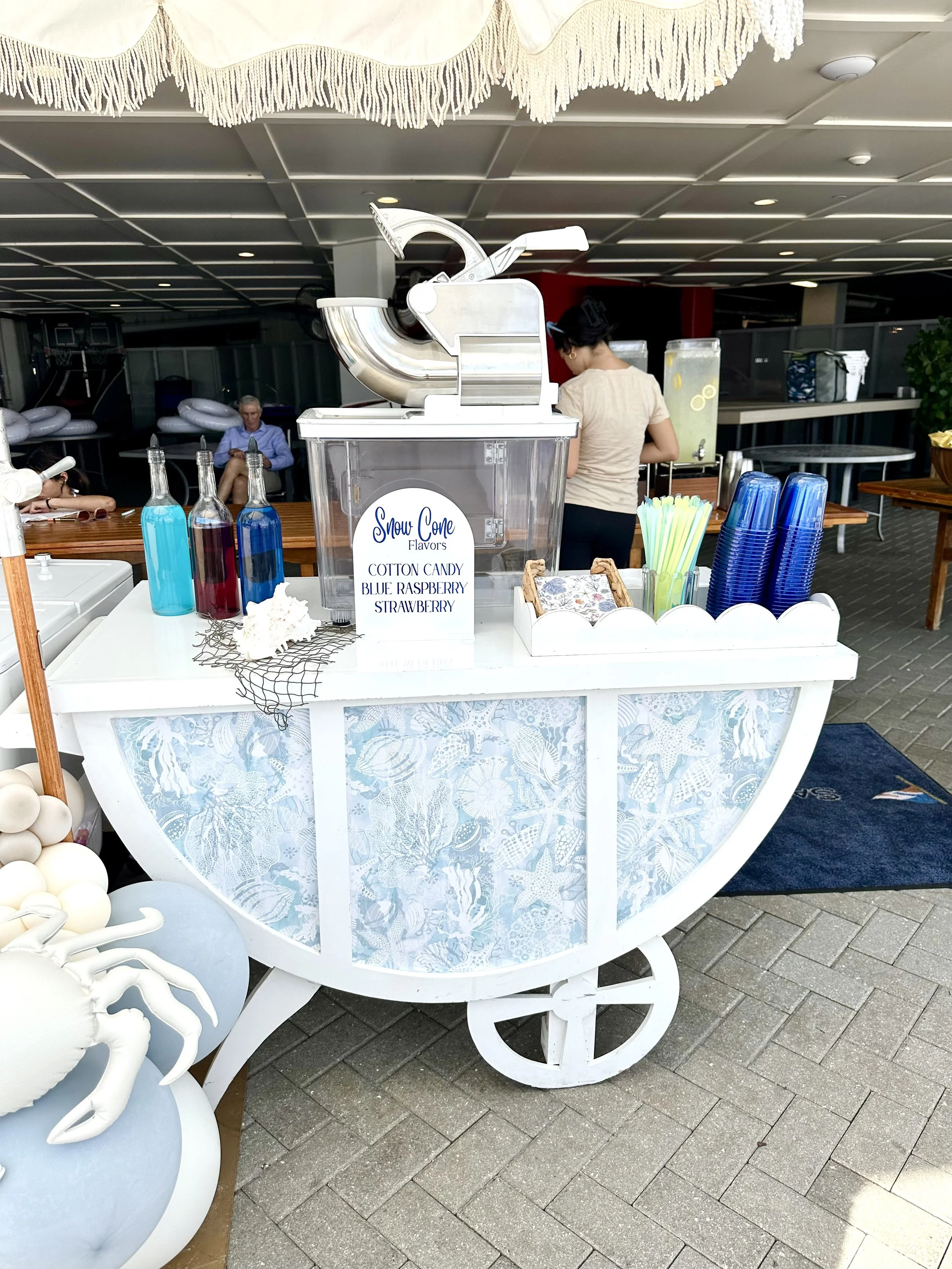 snow cone cart service in sarasota for birthday parties