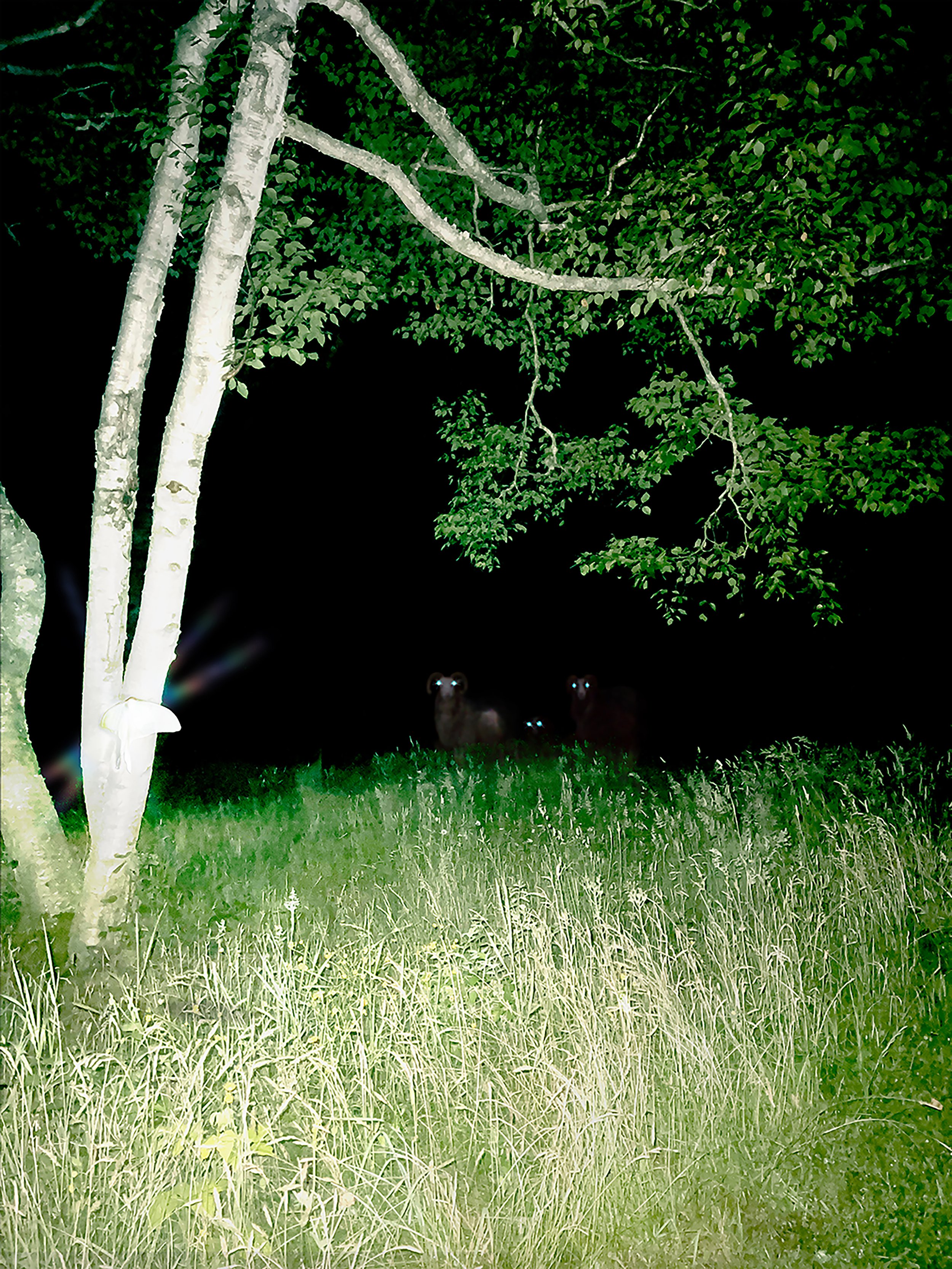 Ode to the things I think she'd hunt