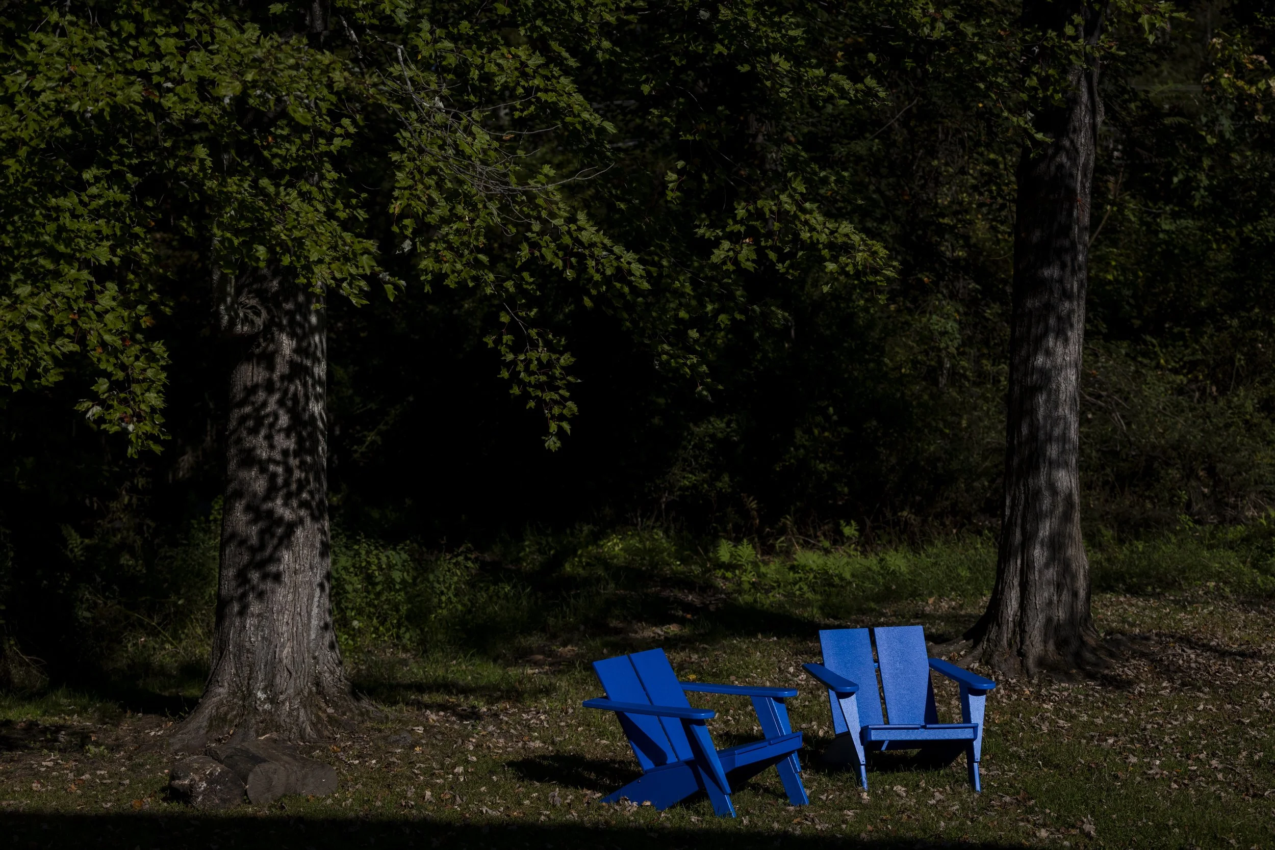 Two blue Adirondack chairs in a wooded area with tall trees and green foliage.