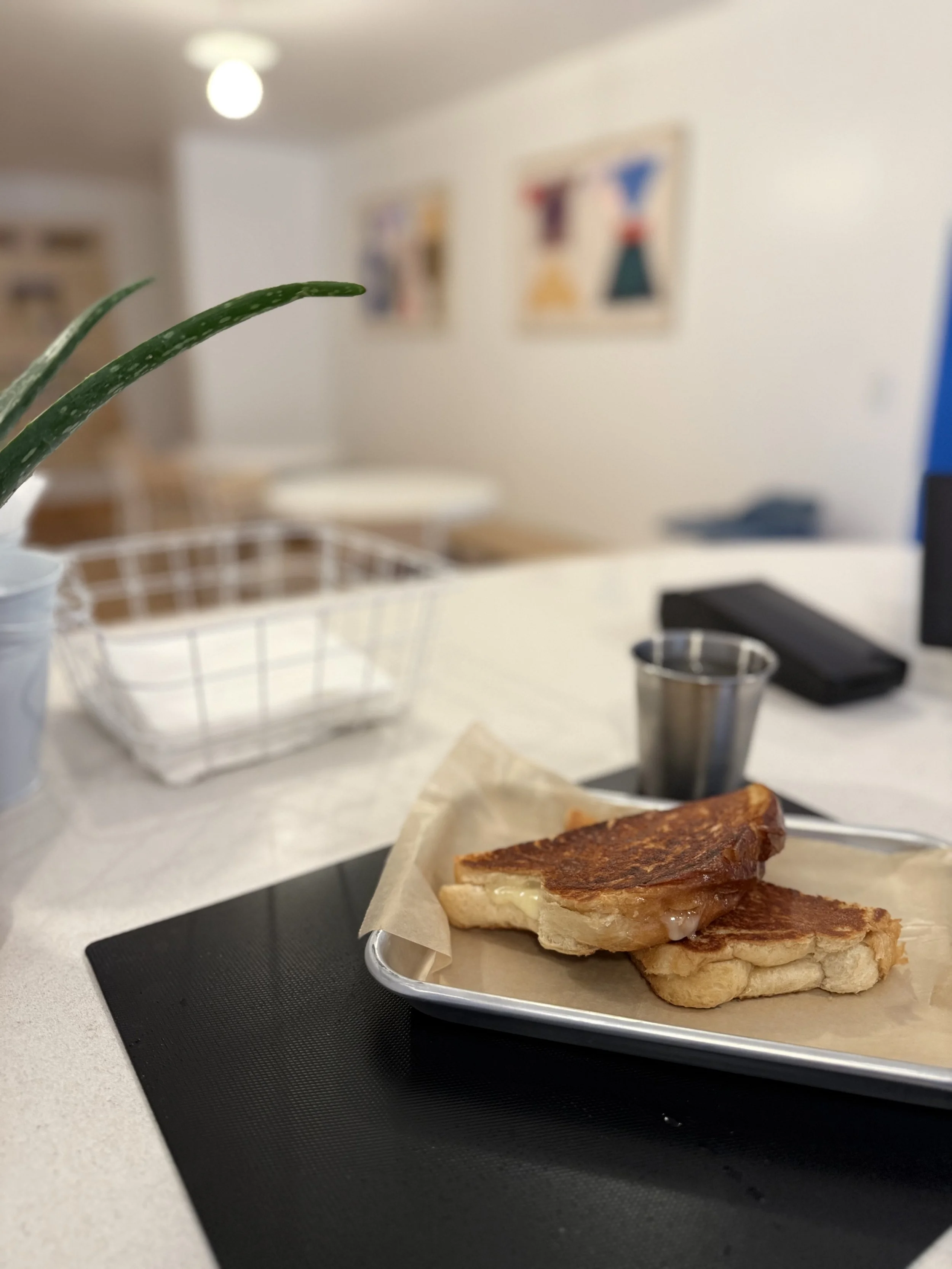 Close-up of grilled cheese sandwich on a tray, with a glass of water and a plant in the background in a modern kitchen or dining area.