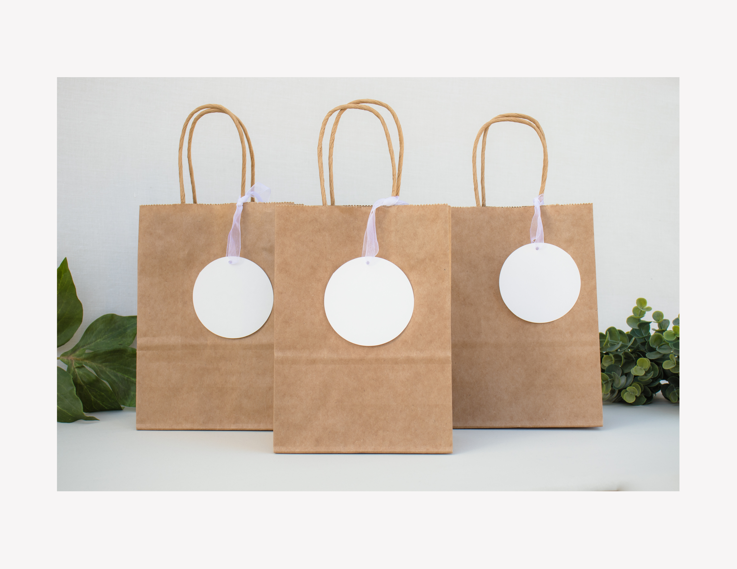 Three brown paper gift bags with twisted paper handles and white circular tags, arranged in a row on a white surface with green leaves on either side.