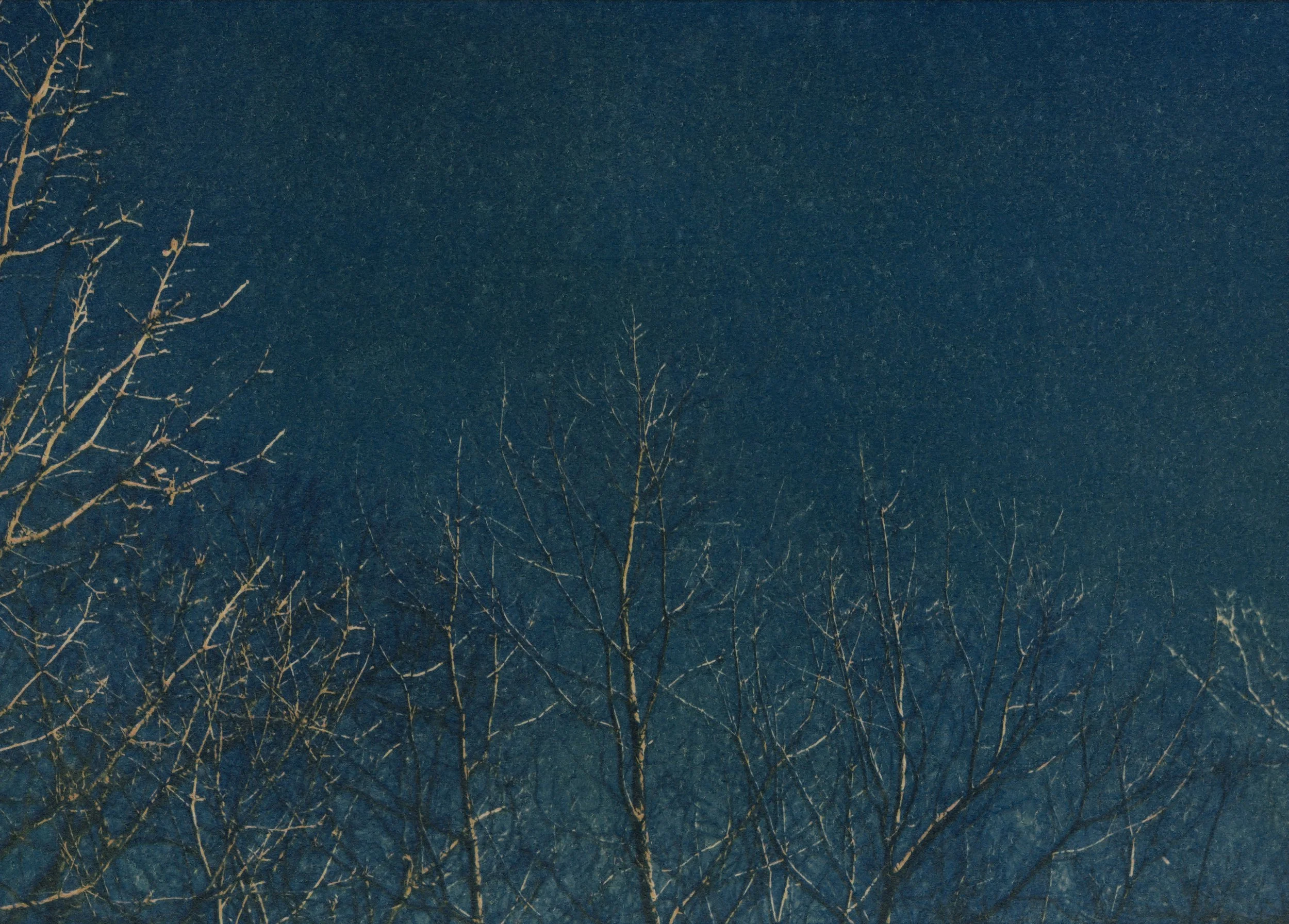 Rebecca Jinyoung Park_Winter Tree_2025.jpg