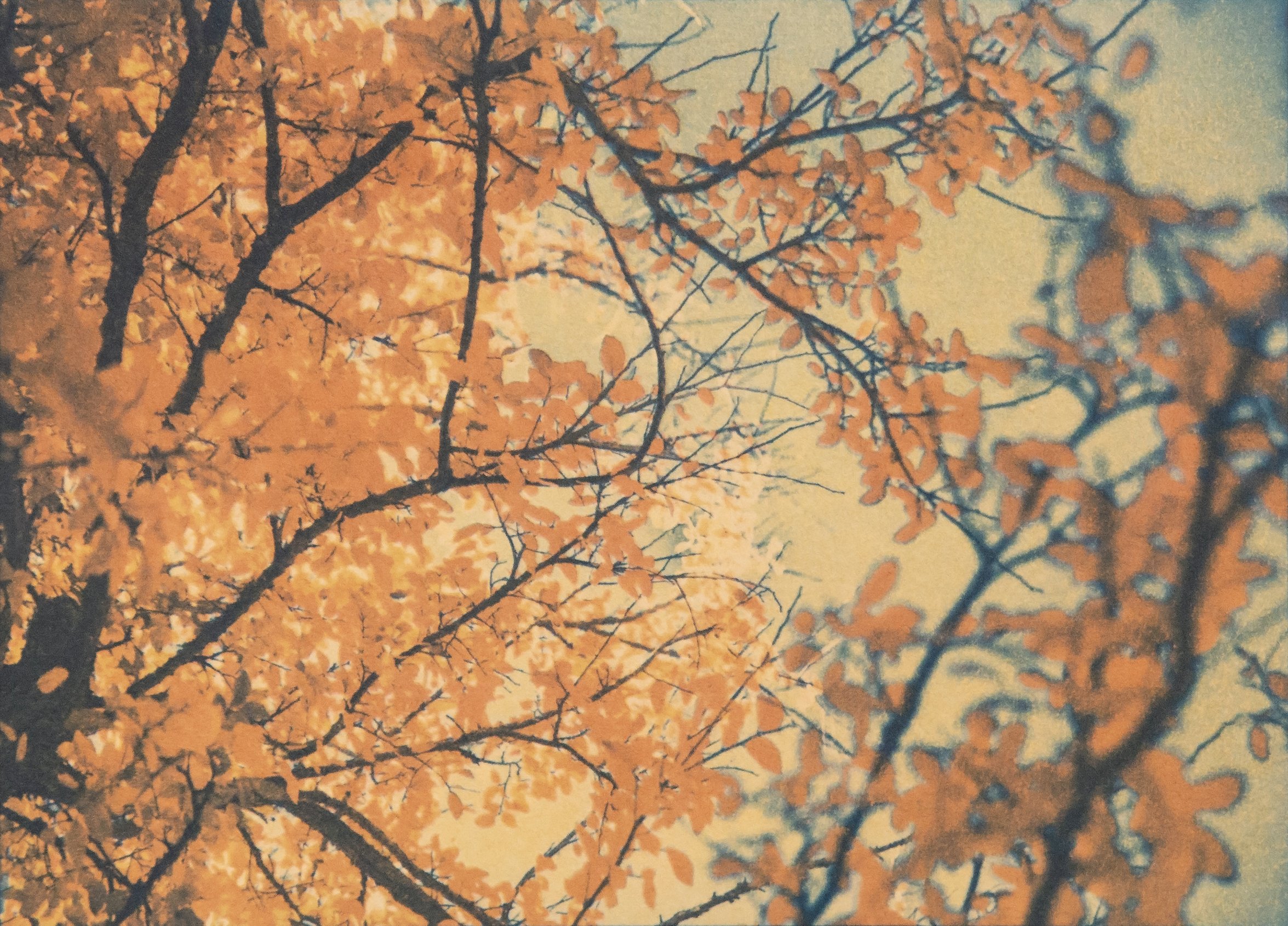 Rebecca Jinyoung_Park_Autumn tree_2026.jpg