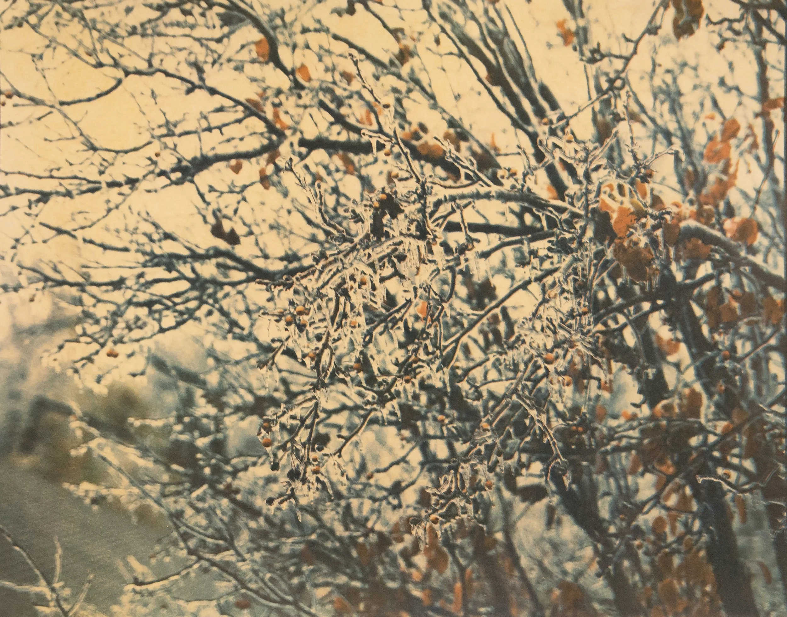 Rebecca Jinyoung Park_Frozen Drip_2026.jpg