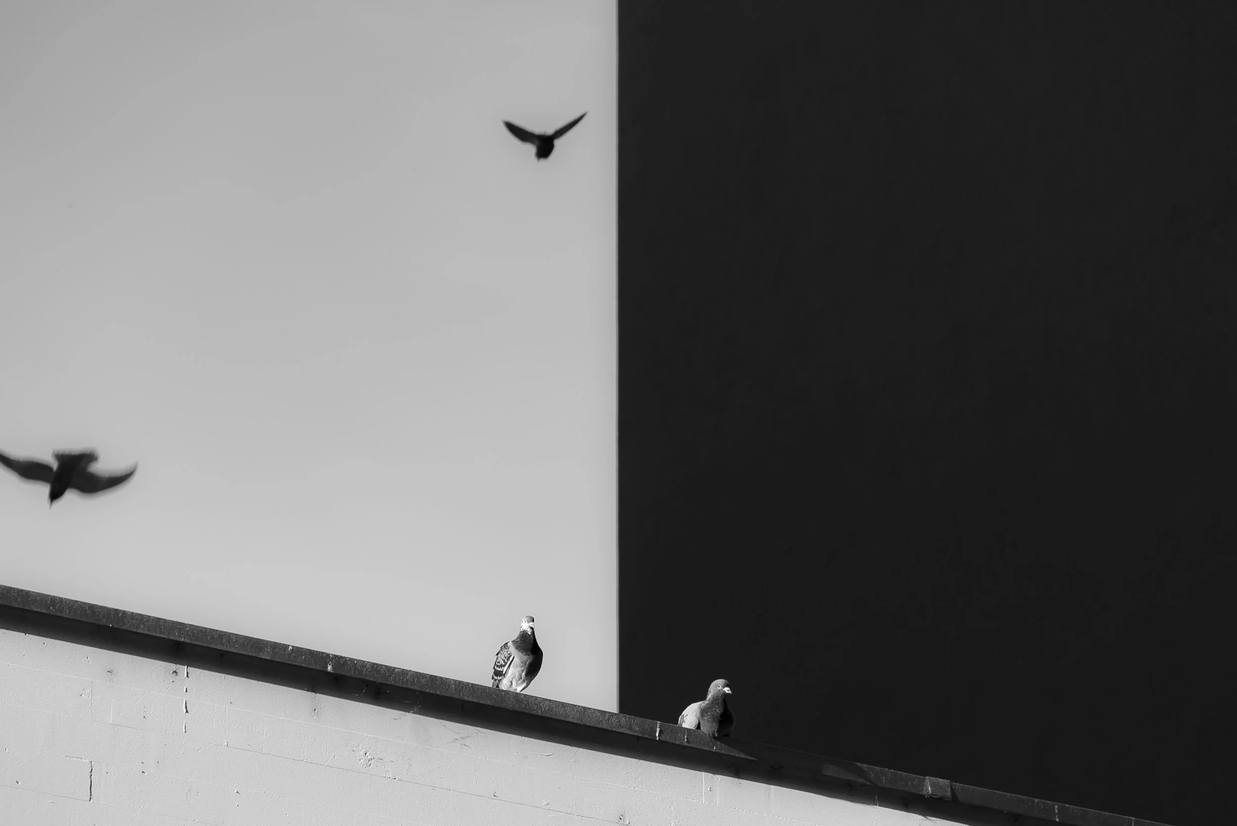 The Double-Slit Experiment: The Observer Within (+/-)