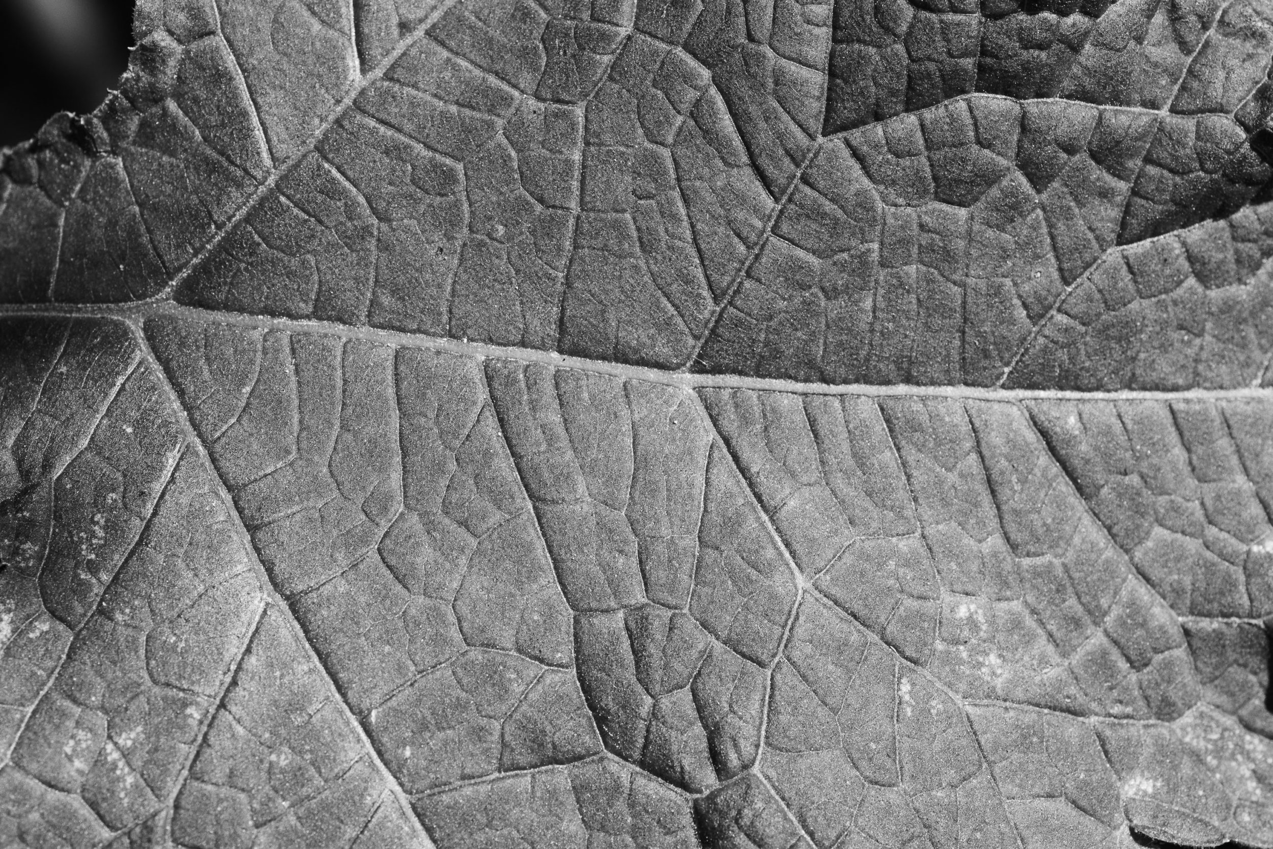 anti-aging body lotions: your rundown