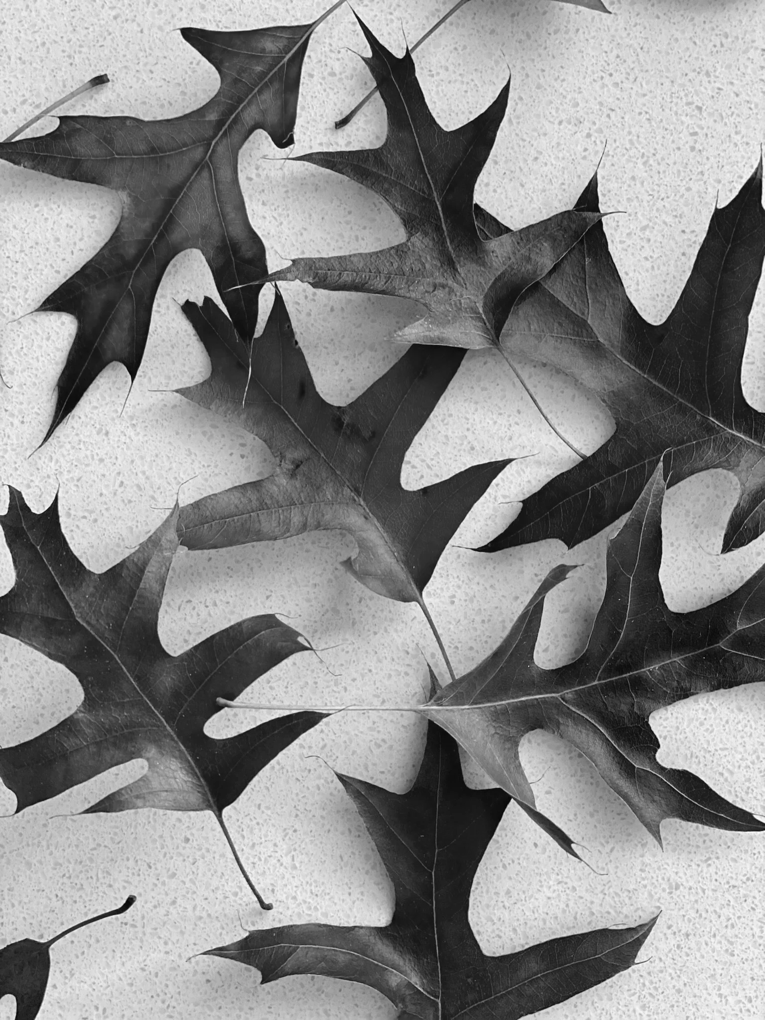 fall skincare: your rundown