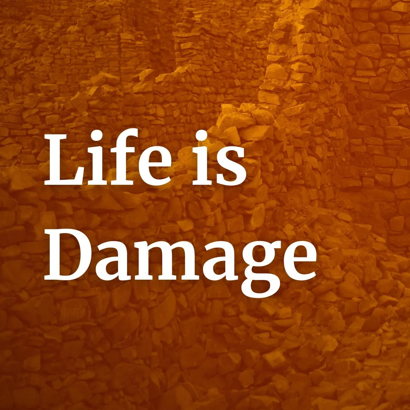 39. Life is Damage