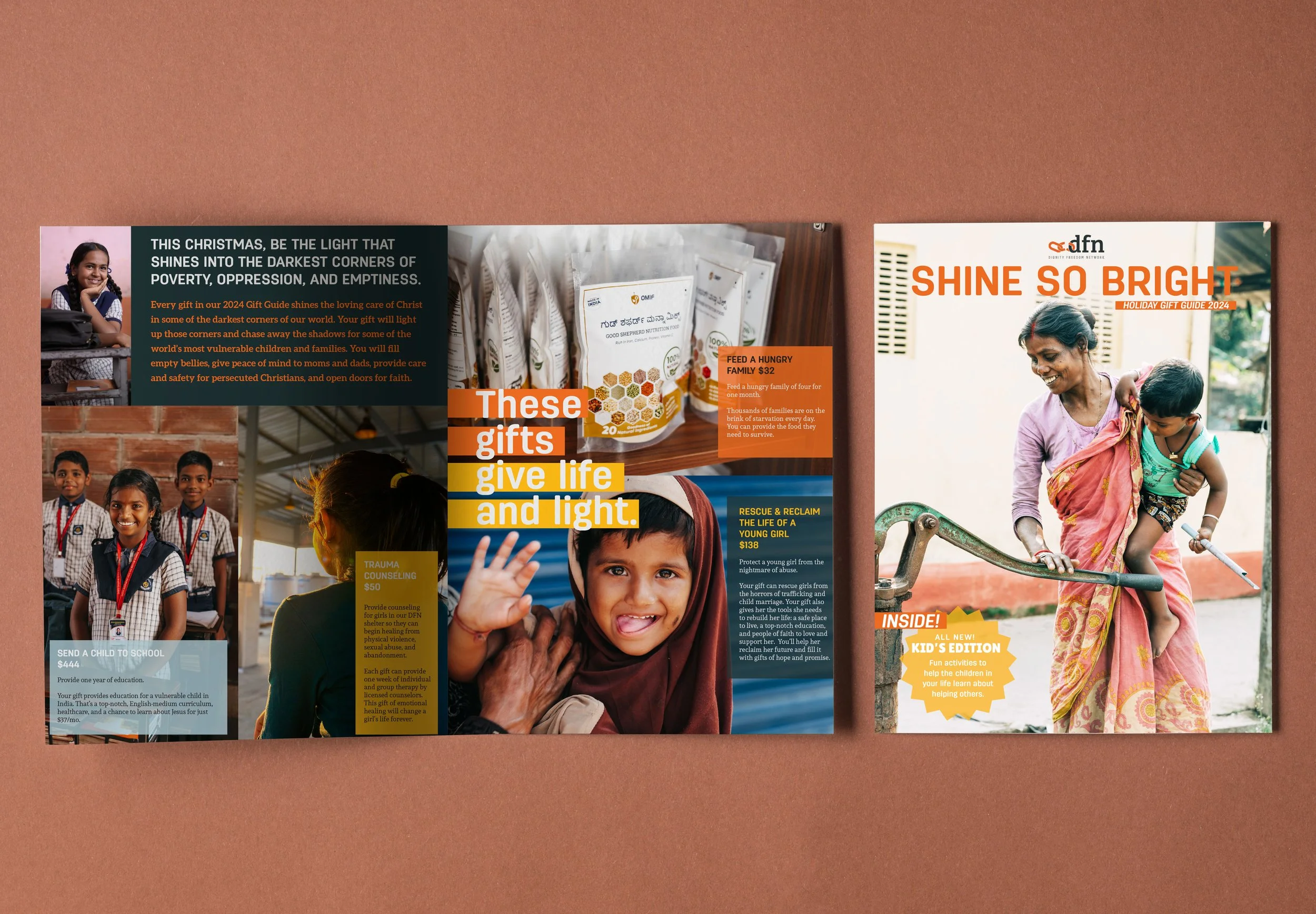 Newsletter Bi-Fold Brochure - Direct Mailer Graphic Design