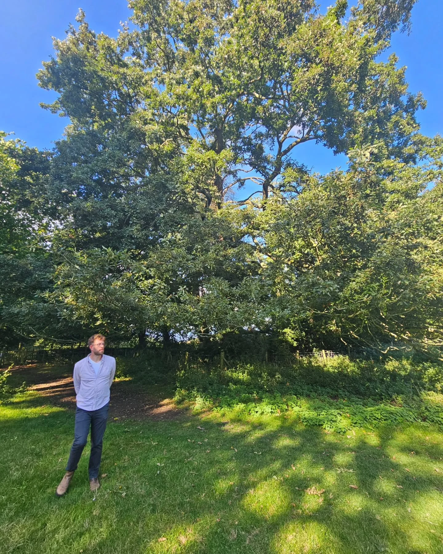 A day a Gunby Hall.  Some welcome sunshine after days of overcast skies and indecision.

#gunbyhall #nationaltrust #lincolnshire #happiness #inspiration