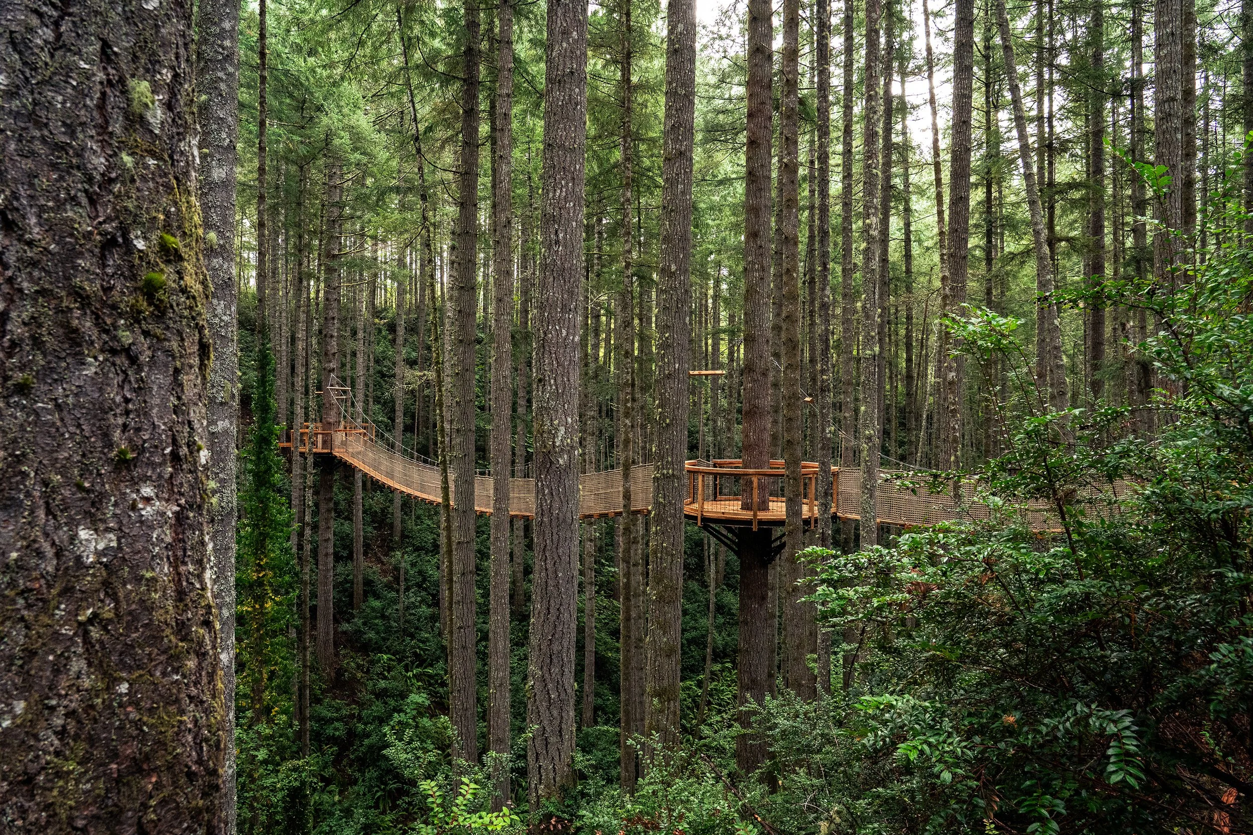 World Treehouse Conference - Camp Gallagher