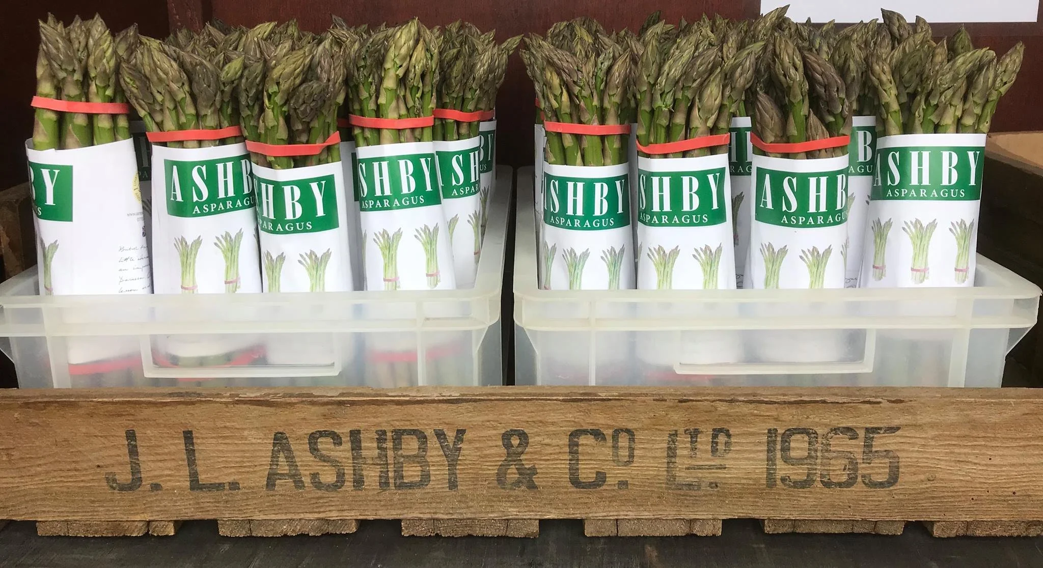 ashby asparagus