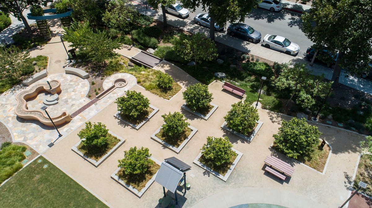 Civic Center Community Conservation #2