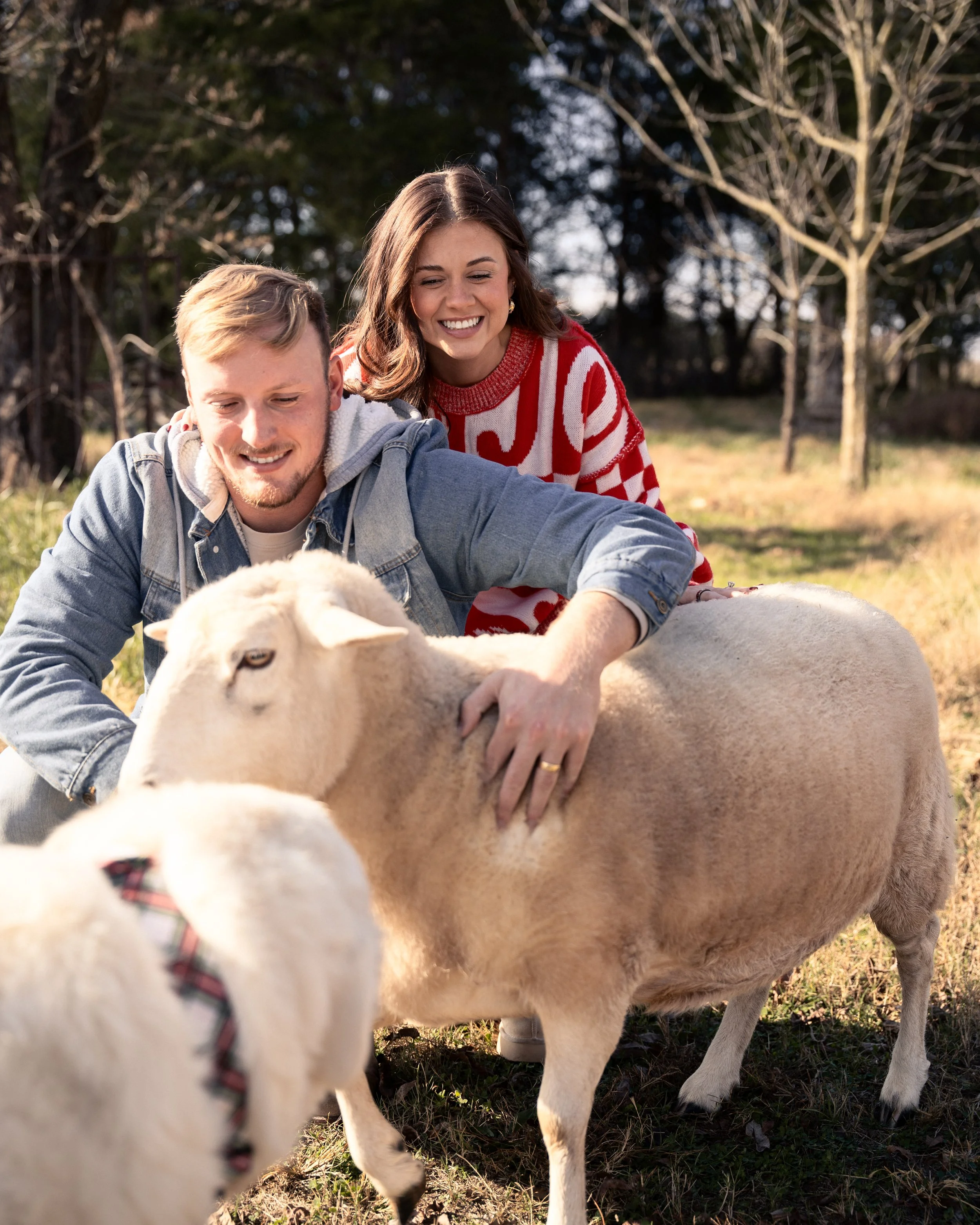 The Baileys Christmas 2025_Square-20.jpg