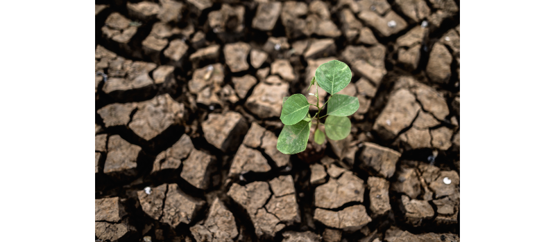 Expertises liées aux désordres causés par les mouvements de terrains : nouveau cadre