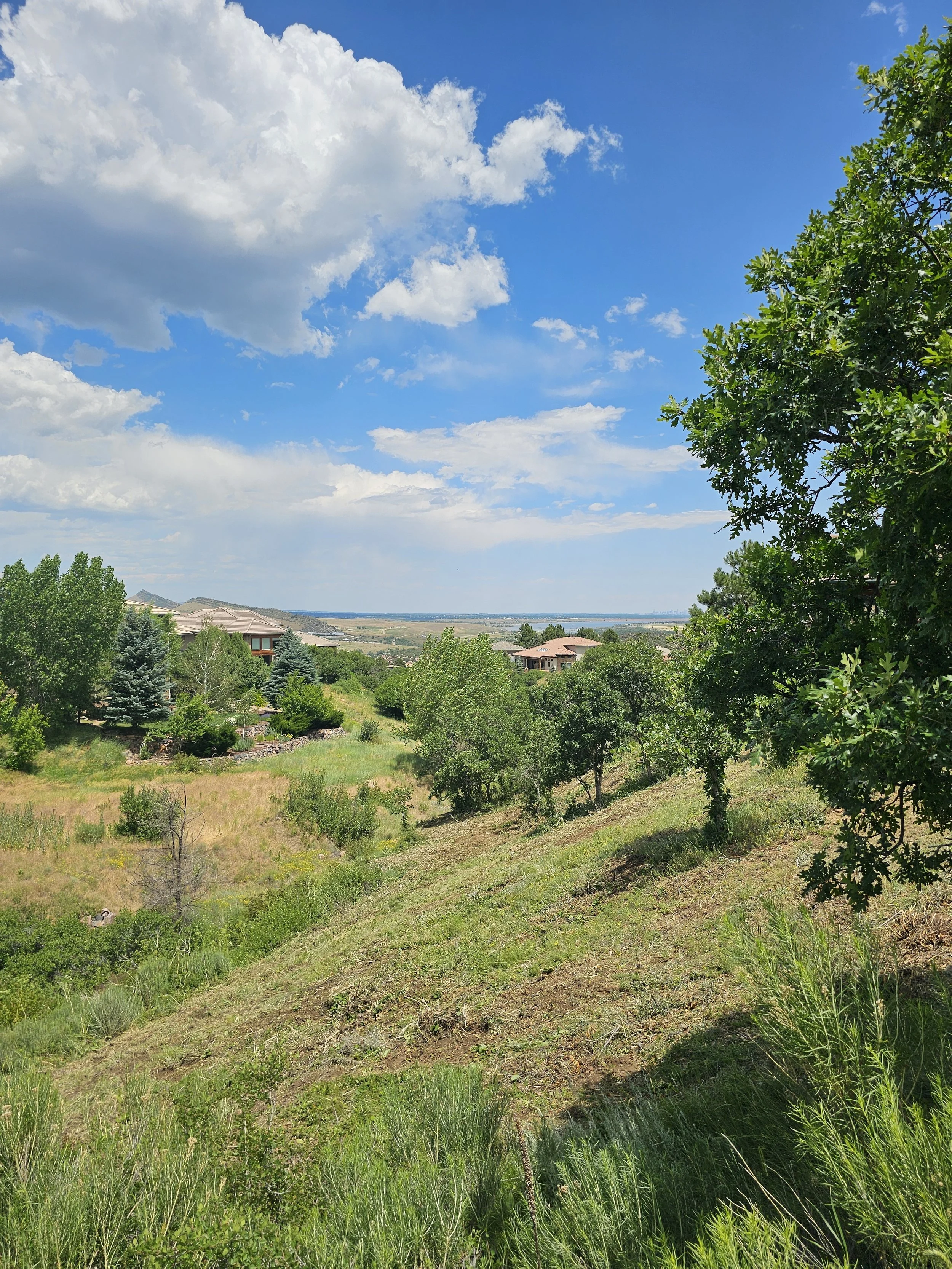 Roxborough Park Fire Mitigation