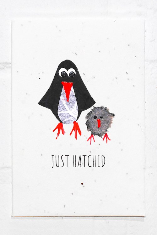 Penguin+Baby.jpg