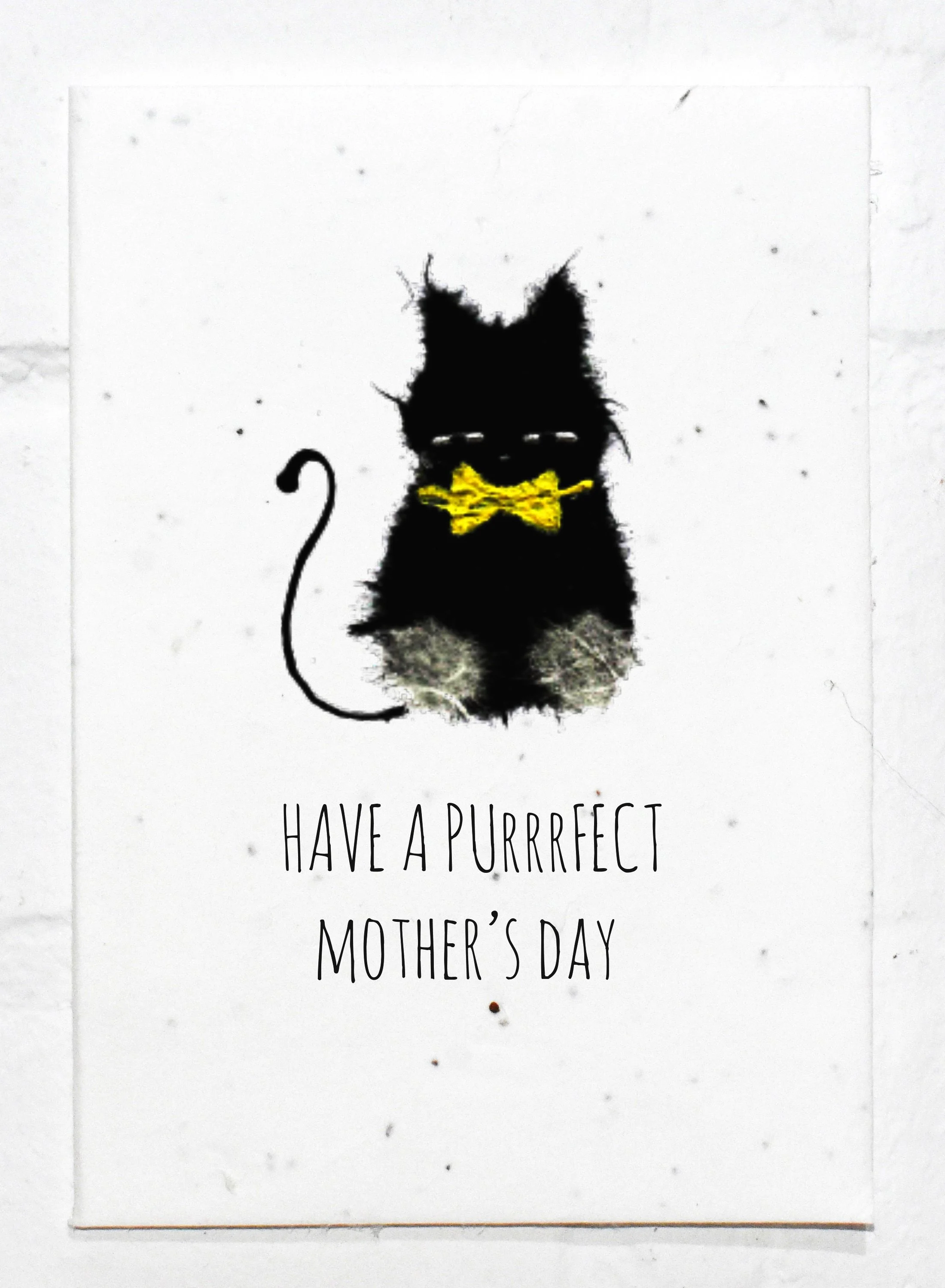 Mothers_day_cat_c.jpg