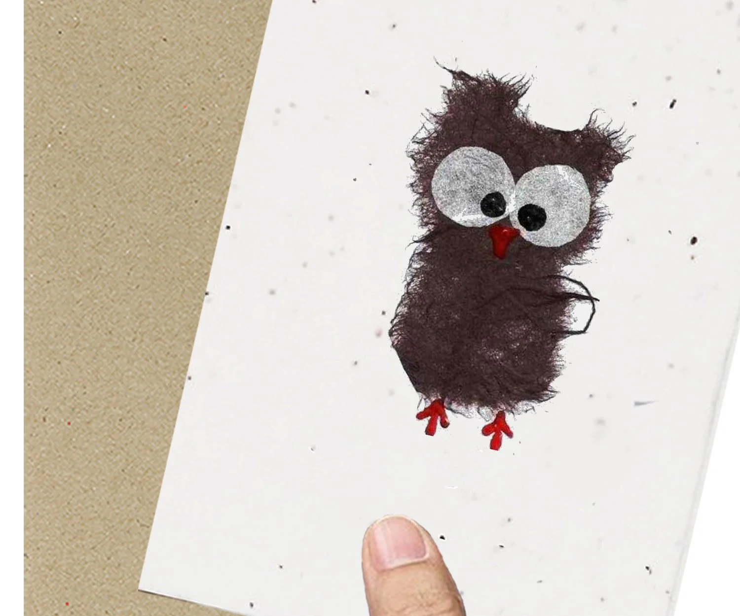 owl.jpg