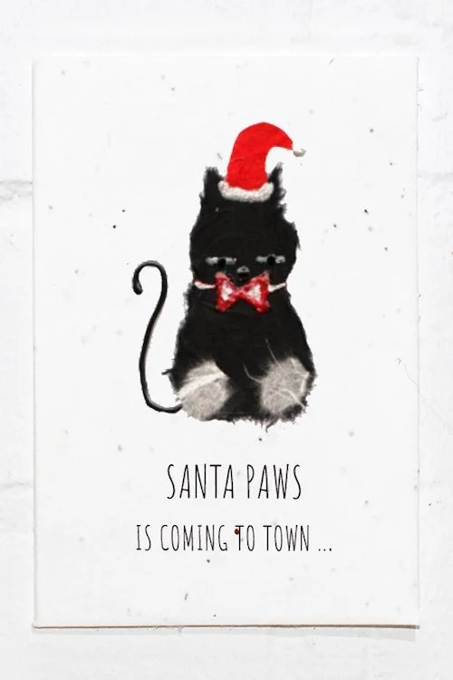 Cat+Christmas.jpg