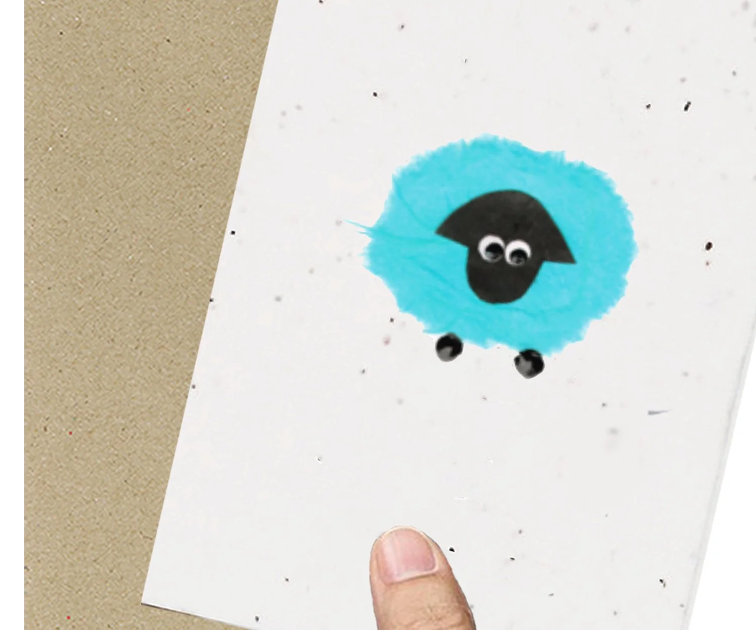 sheep.jpg