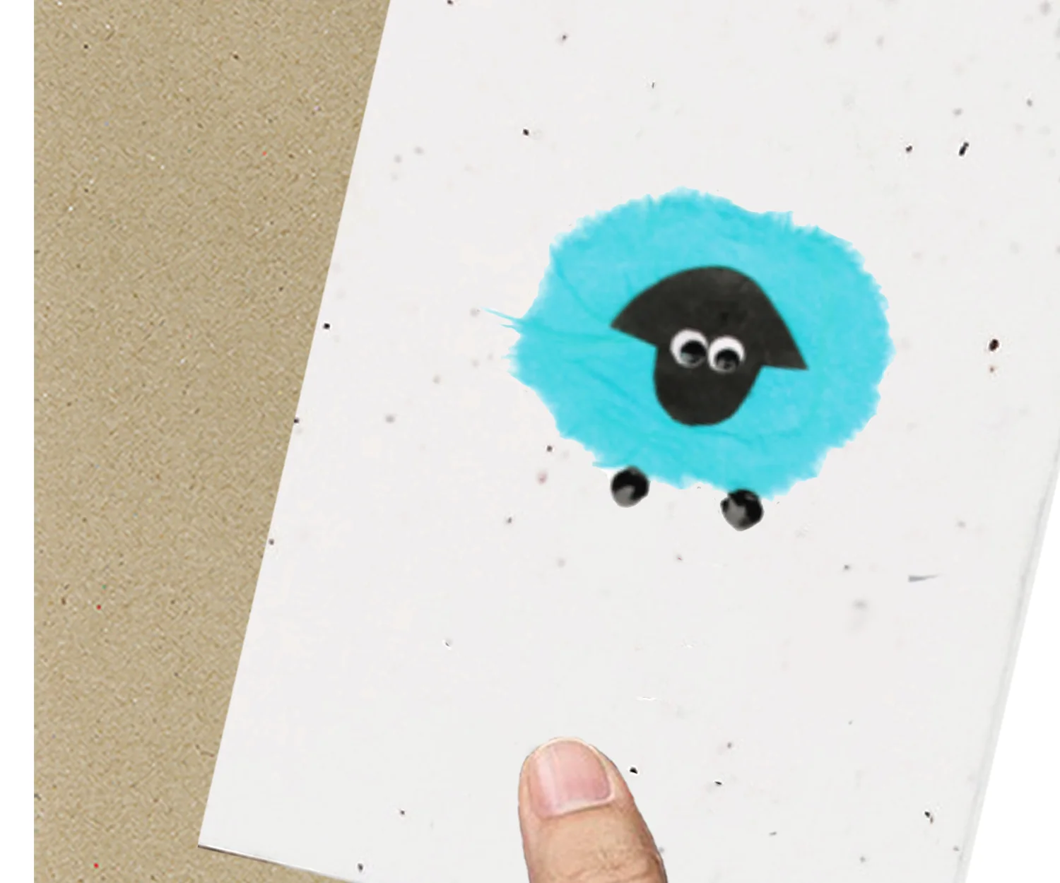 sheep.jpg