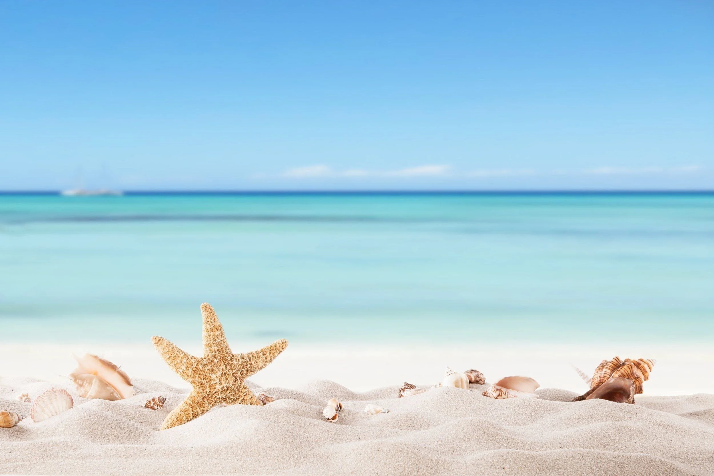 Beach Counseling Center