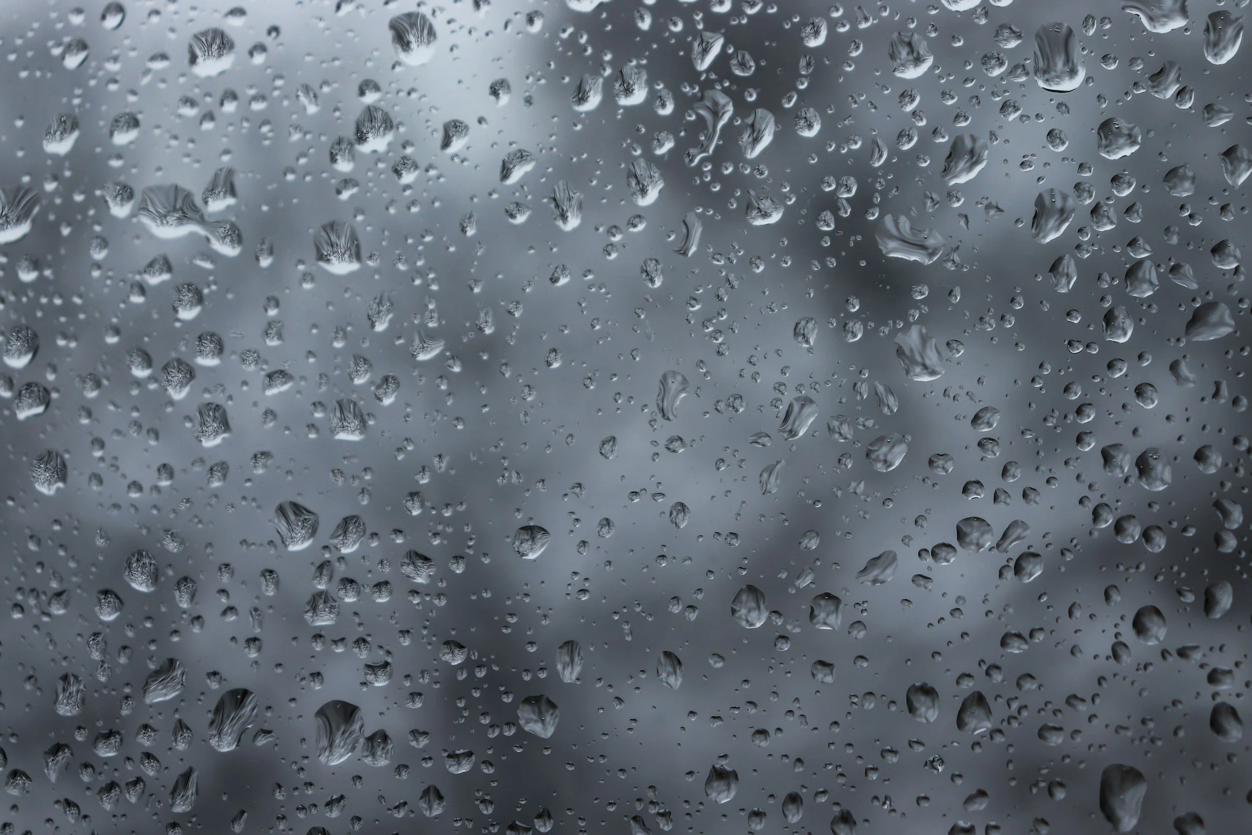 After Calgary’s Heavy Rain: Check Your Stucco &amp; Parging